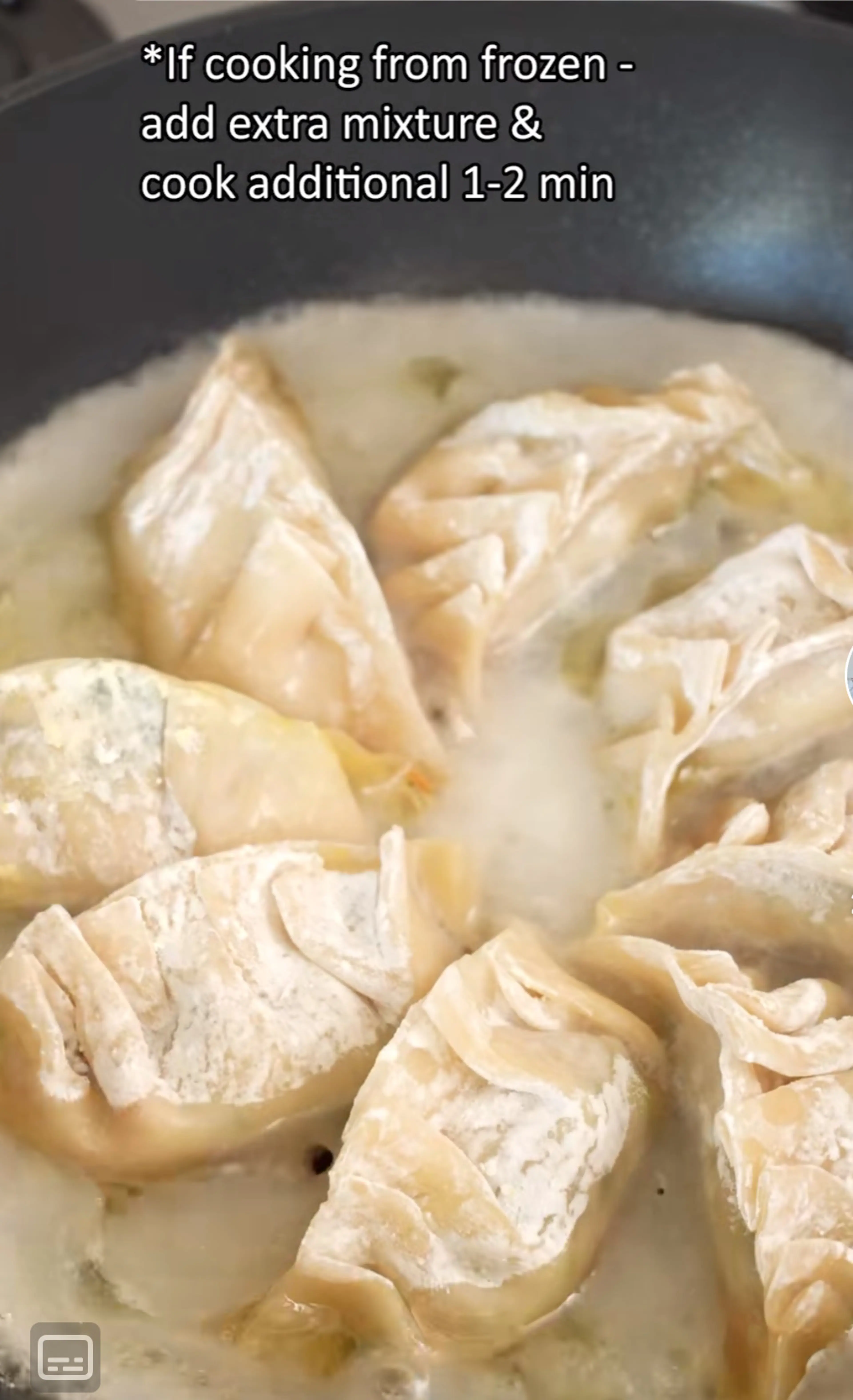 Pot Stickers 煎饺