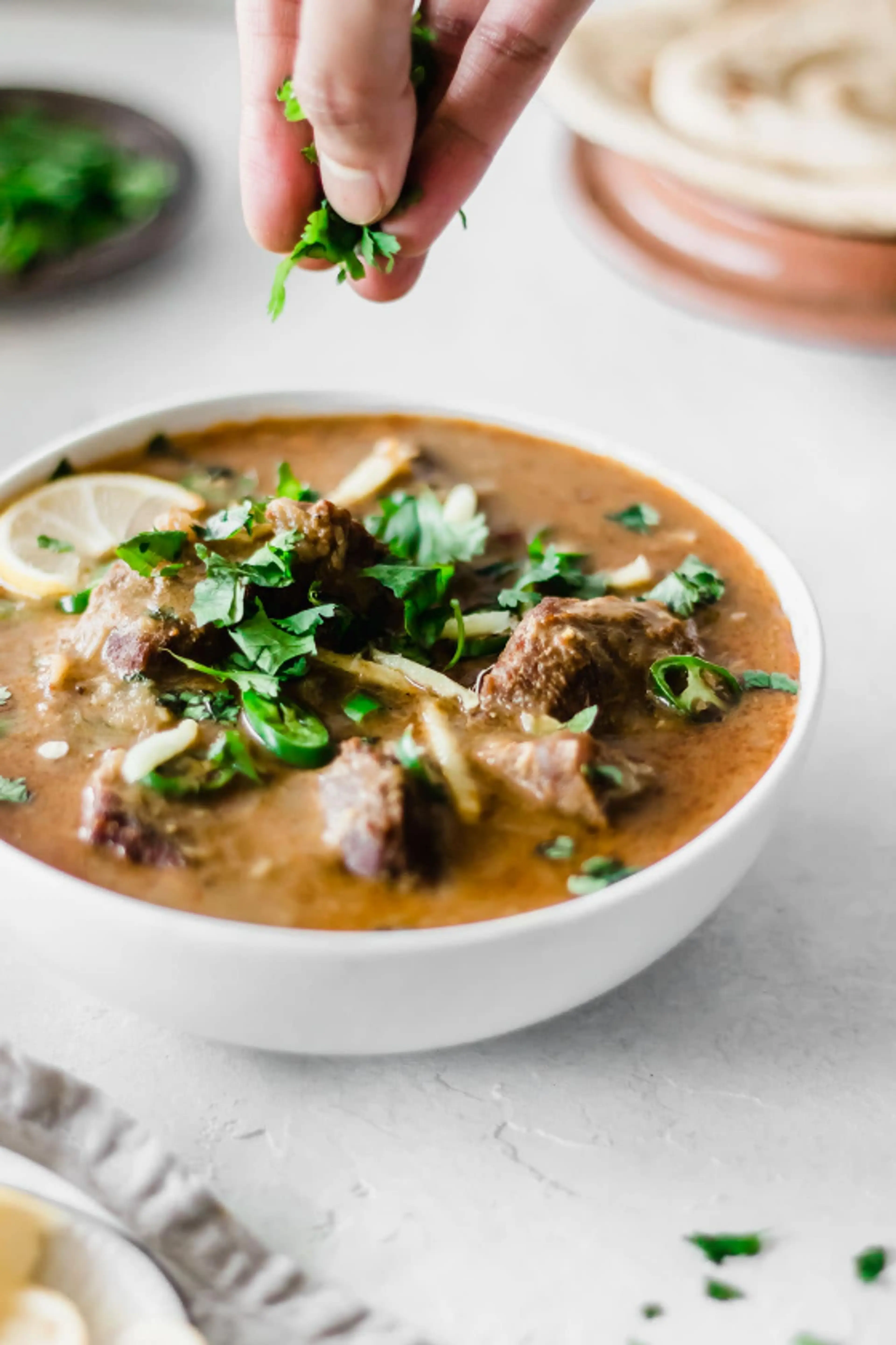 Easy Instant Pot Nihari (Pakistani Beef Stew)