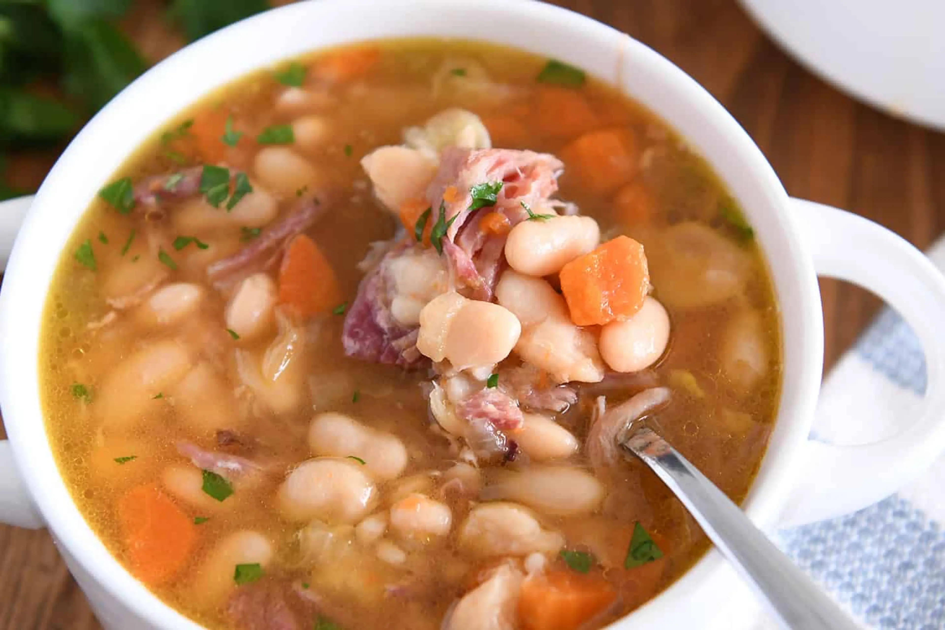 Slow Cooker Ham and Bean Soup