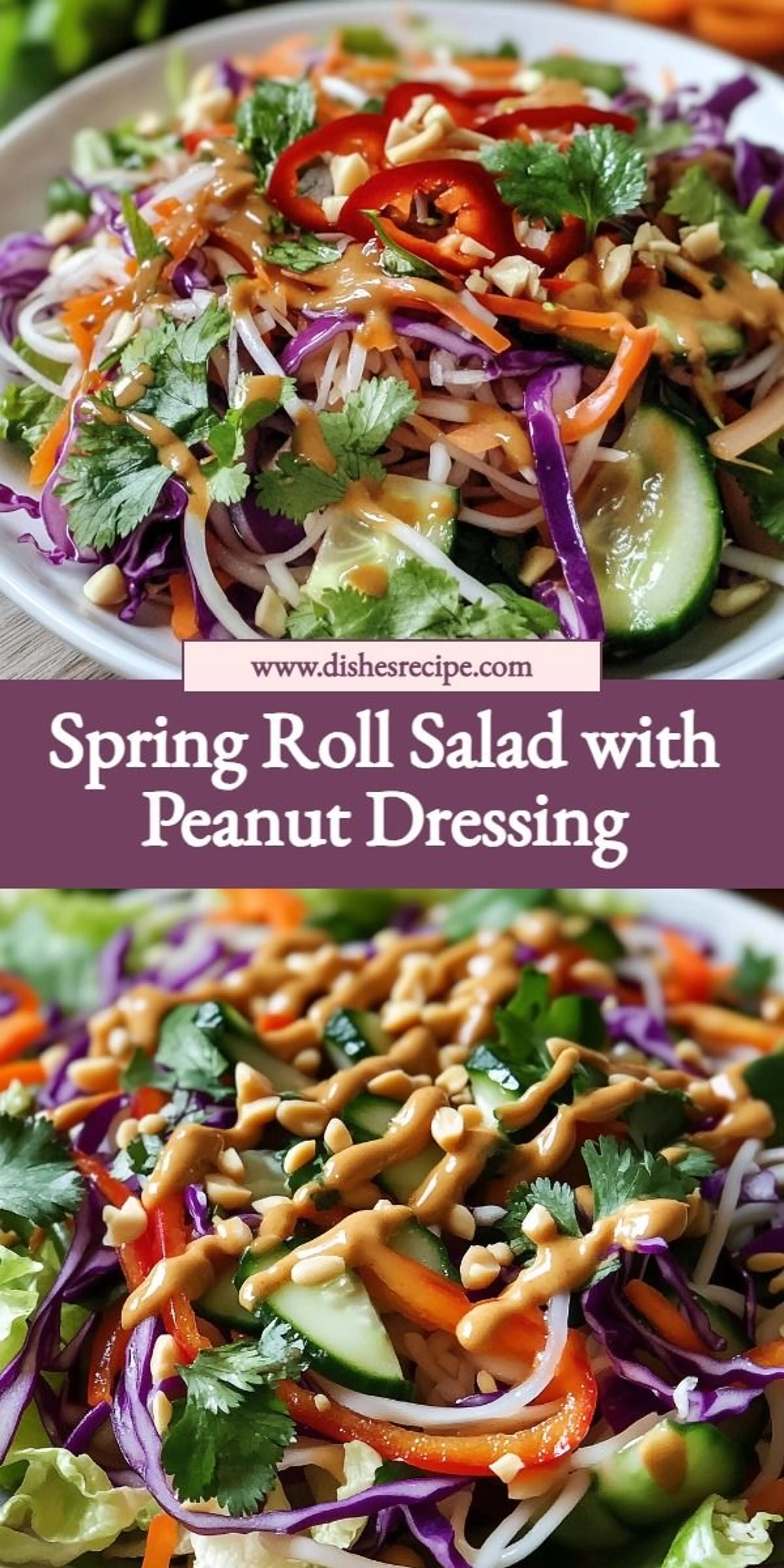 Spring Roll Salad with Peanut Dressing