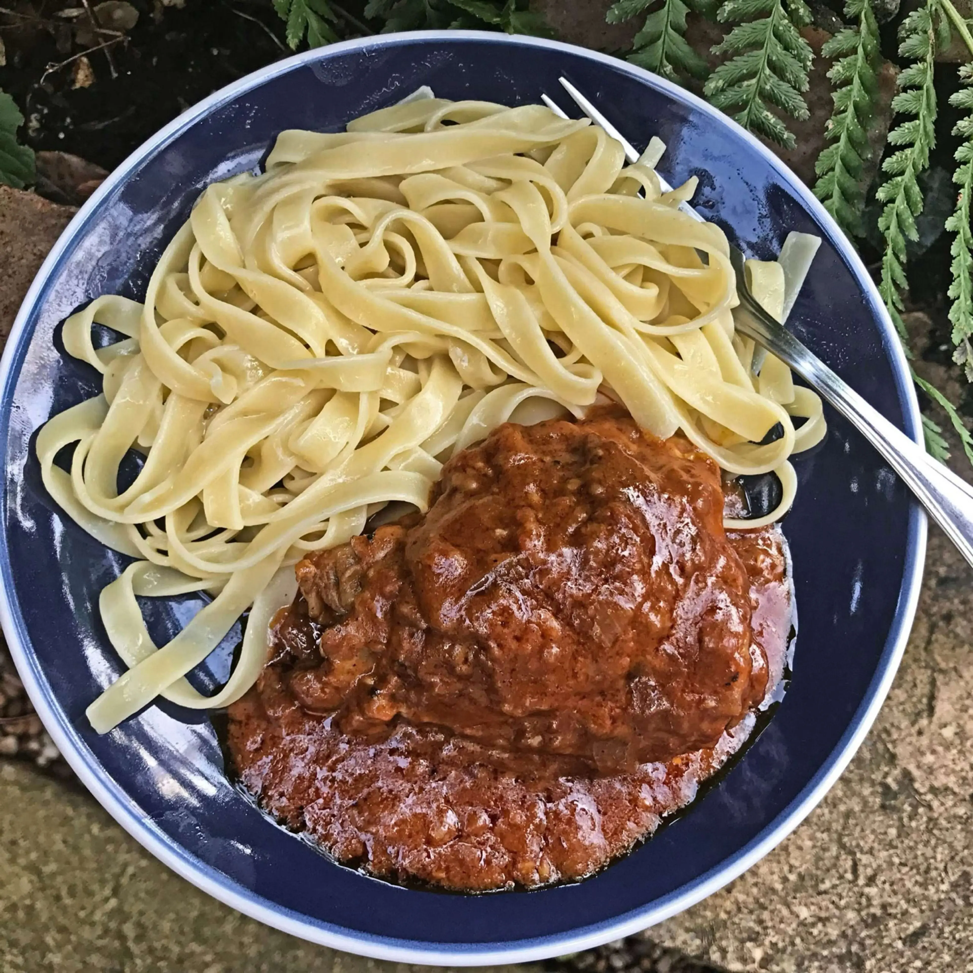 Dairy Free Paprika Chicken