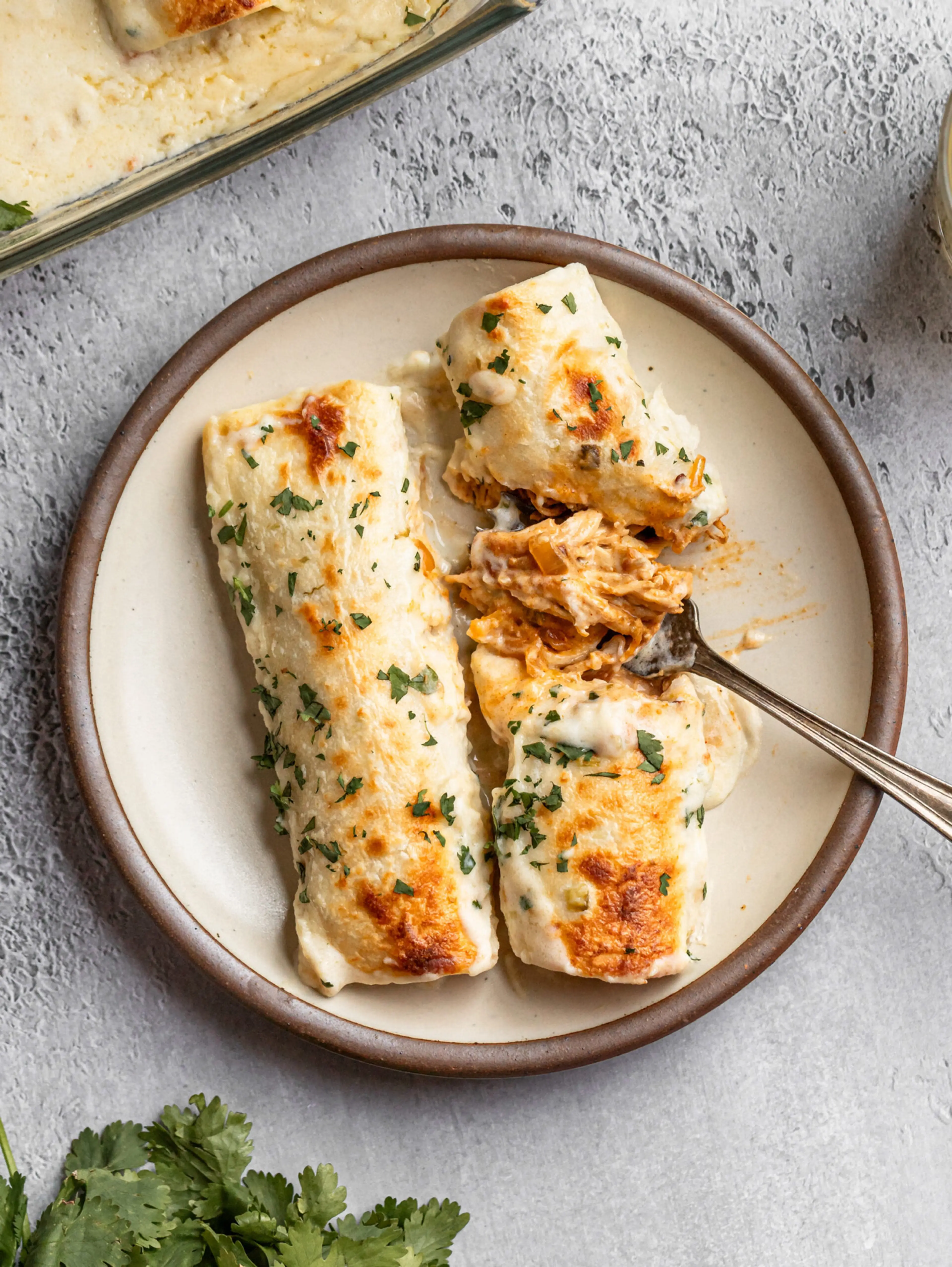 ✅ Shredded Chicken Enchiladas with Cheesy Sour Cream Sauce