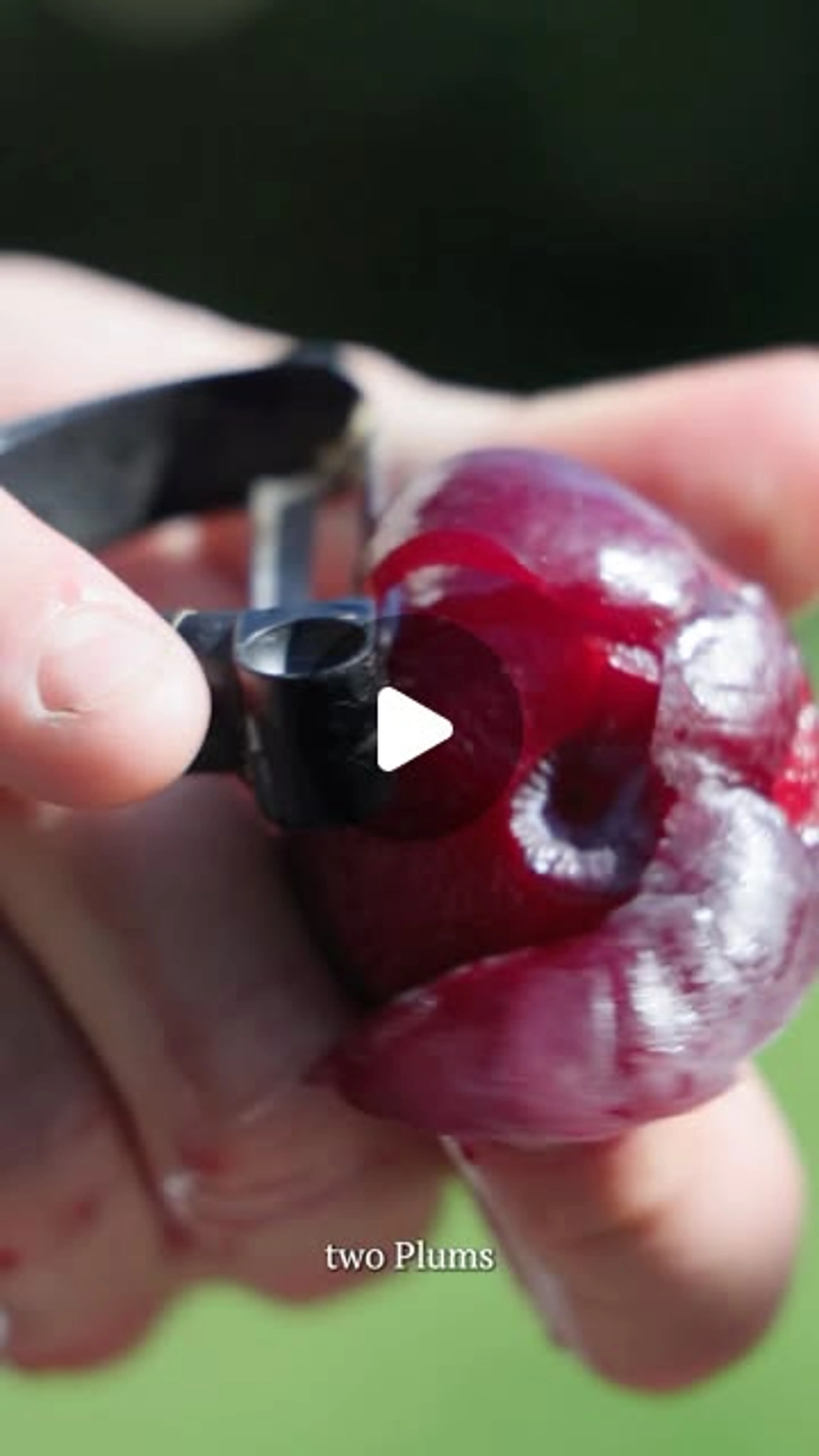 Plumb Syrup