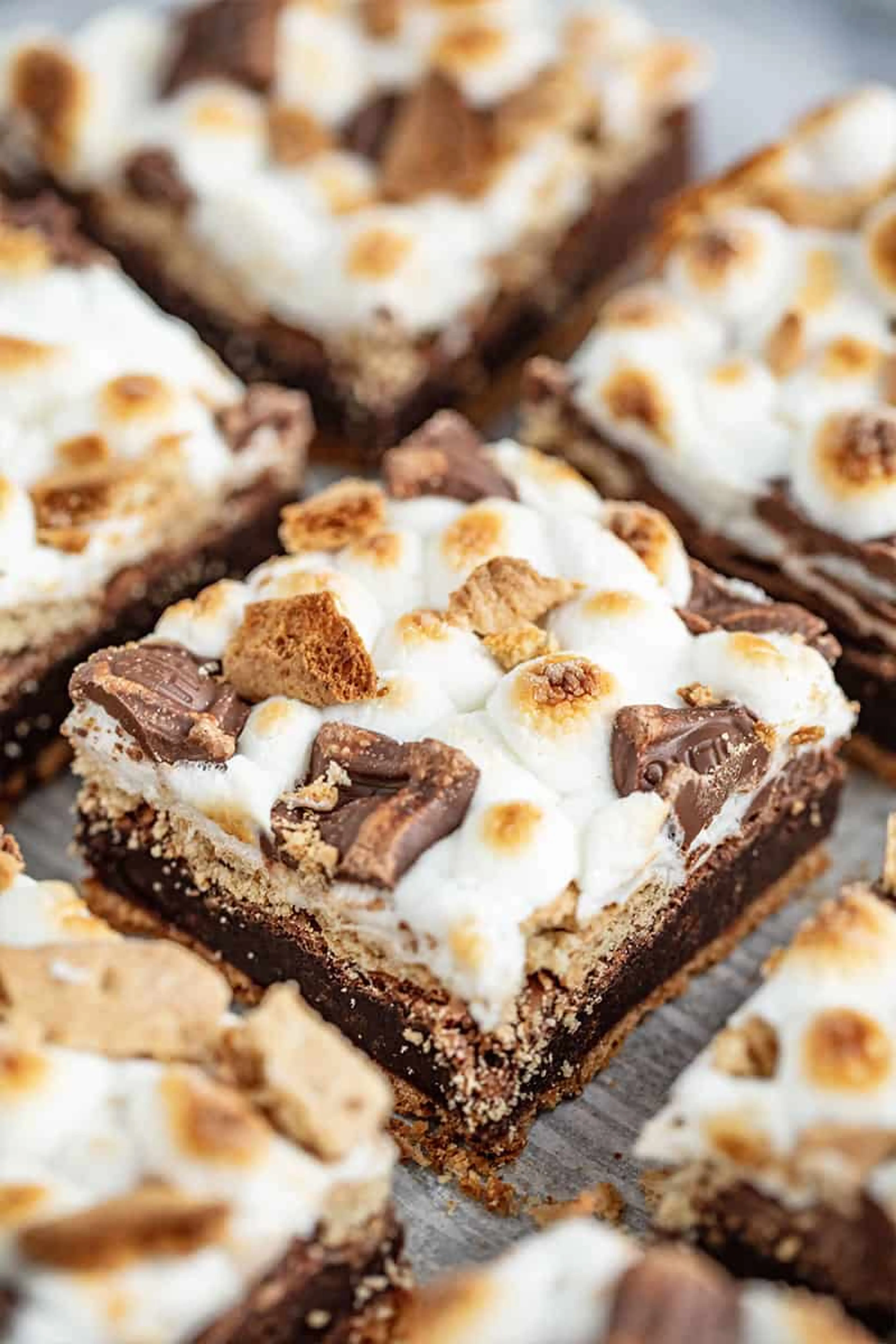 Decadent S'mores Brownies