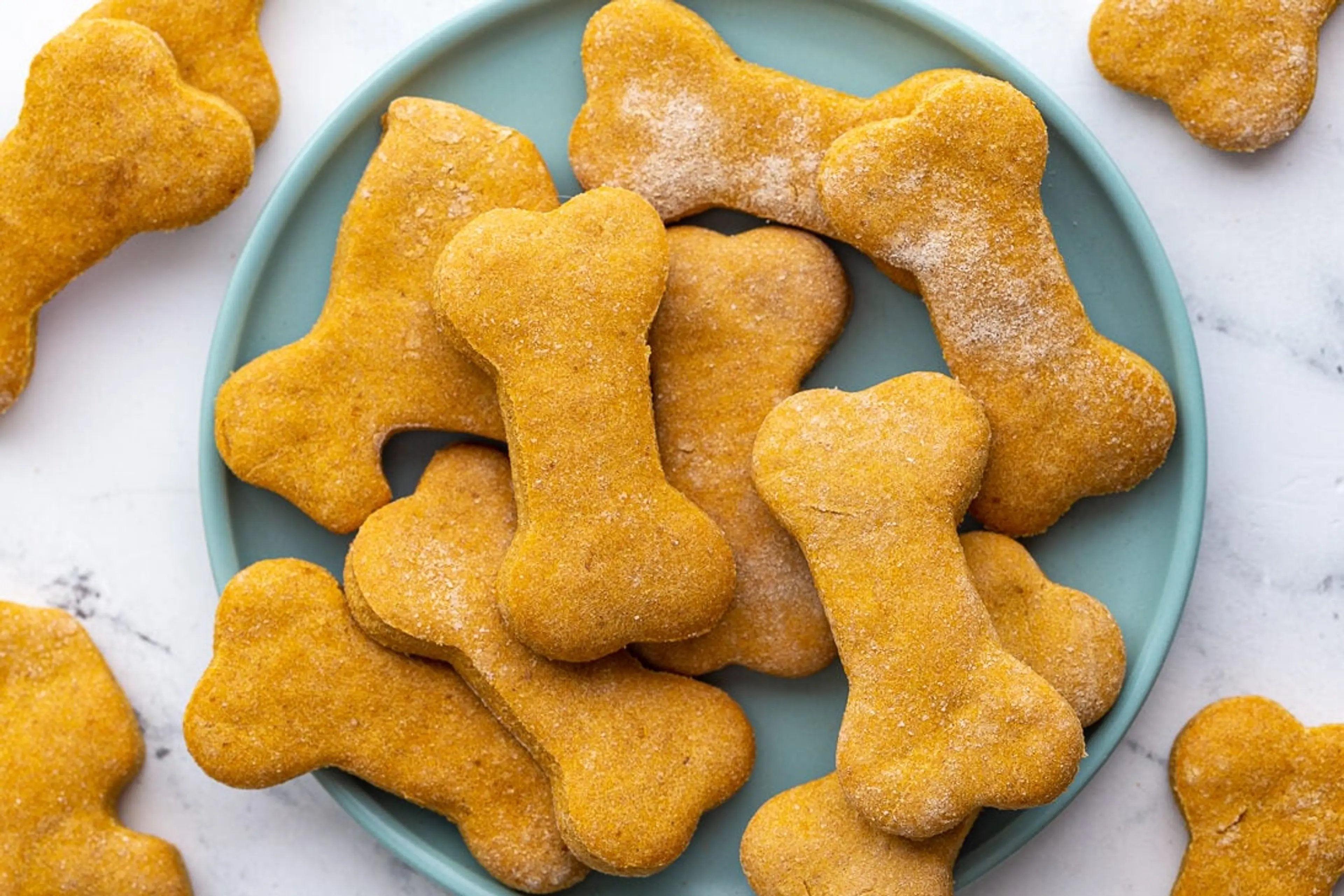 Pumpkin Dog Biscuits Recipe