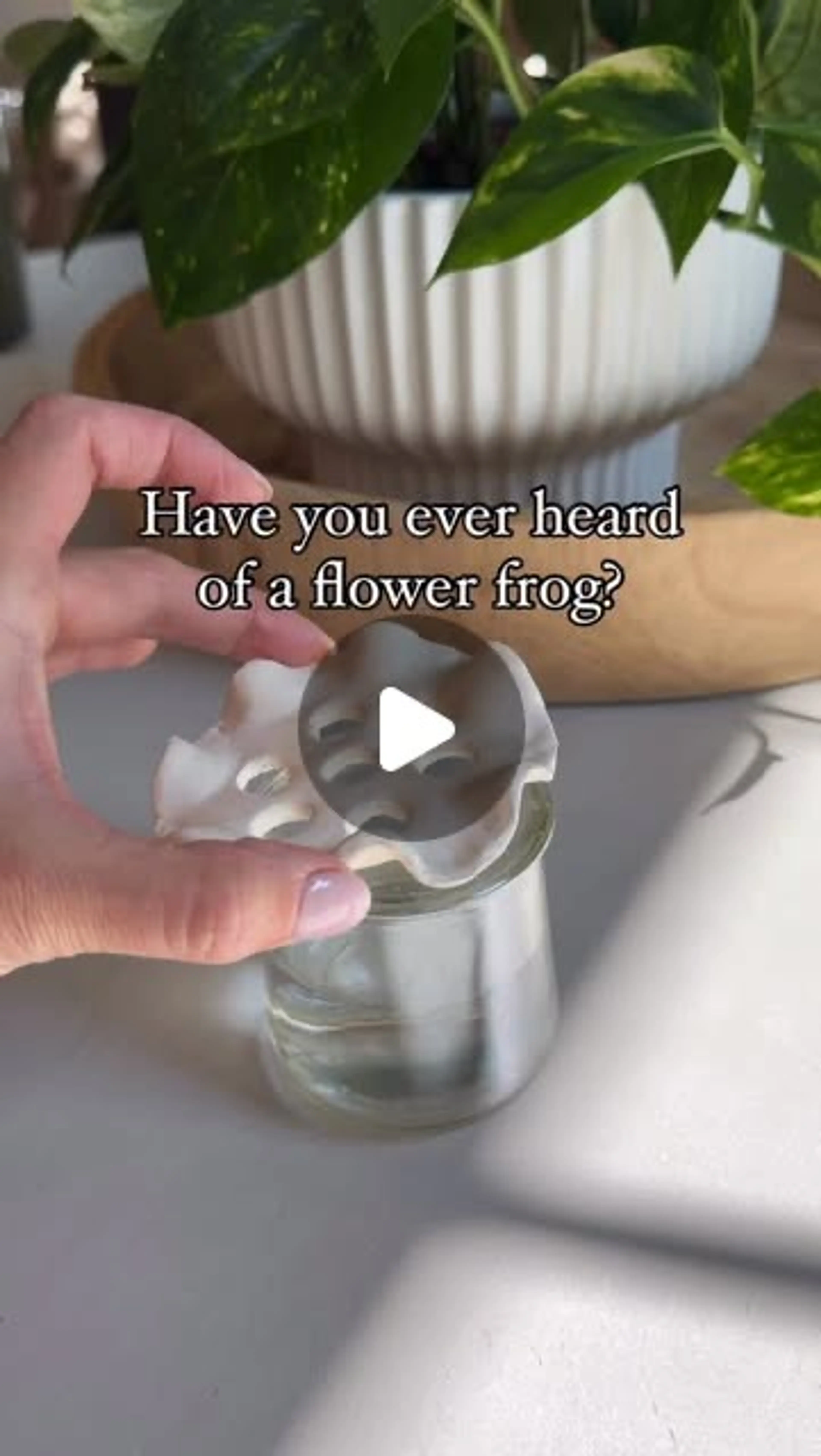 The Cutest Way to Keep Cuttings Upright in Water