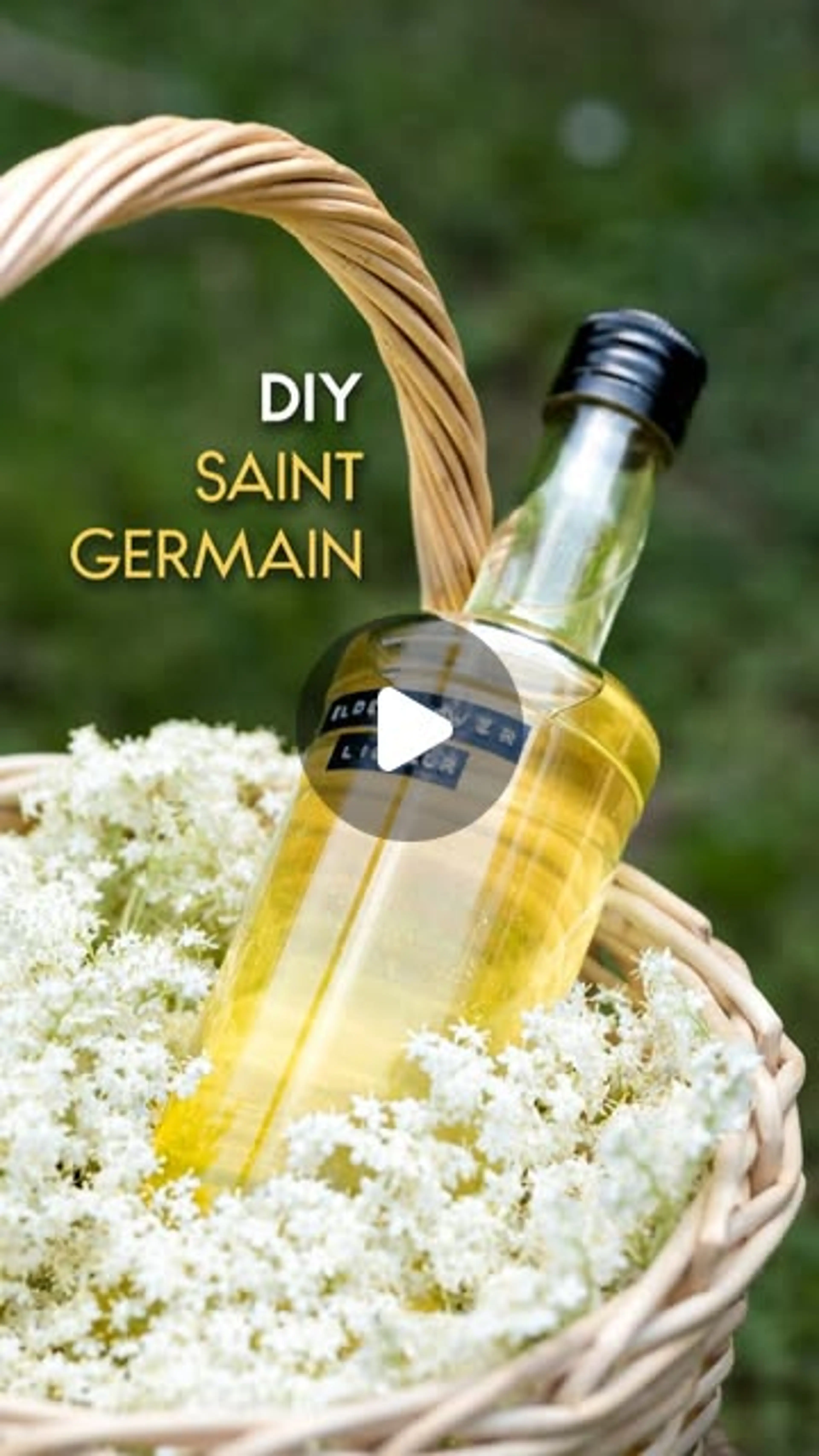 Homemade Elderflower Liqueur