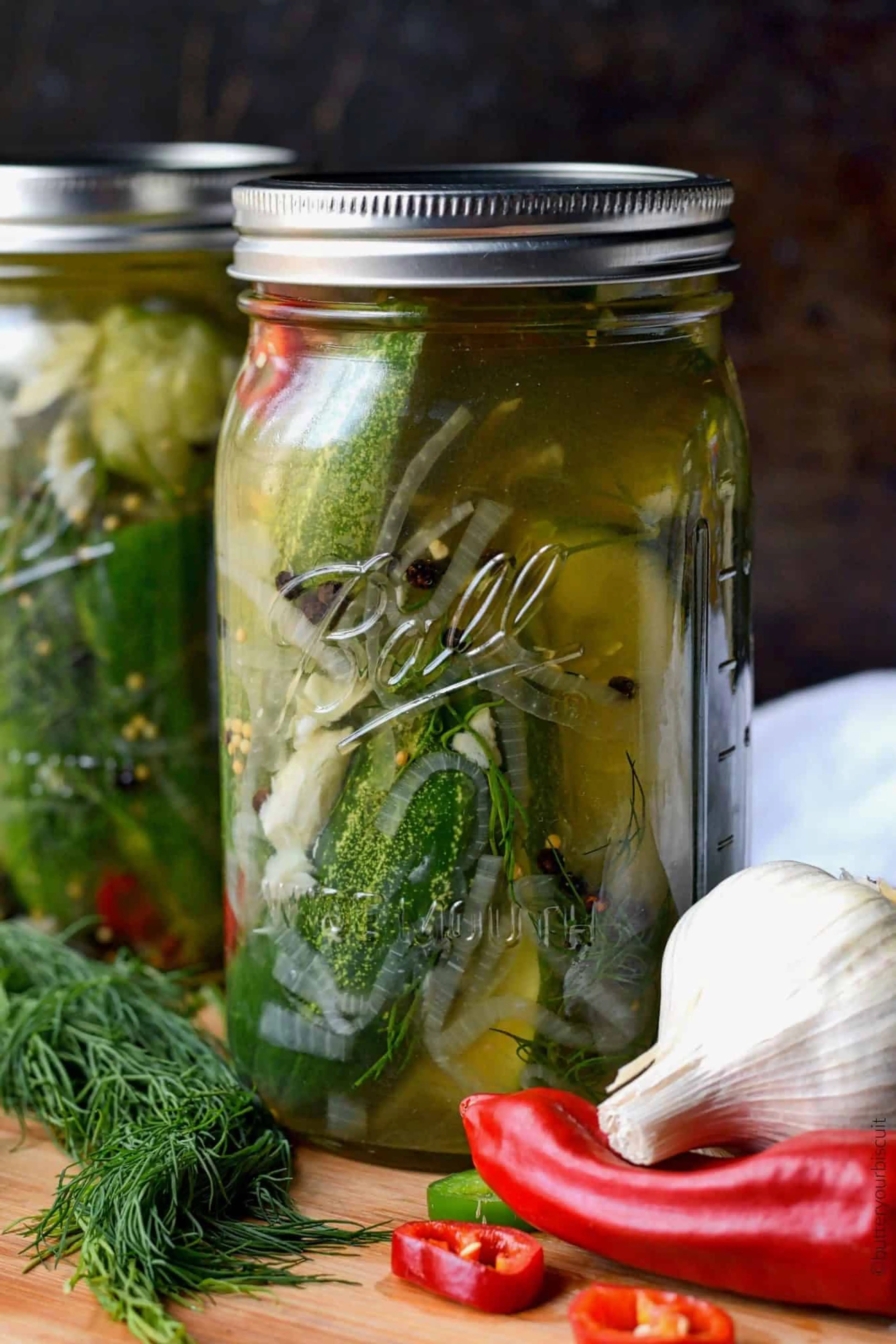 Garlic Jalapeno Dill Refrigerator Pickles