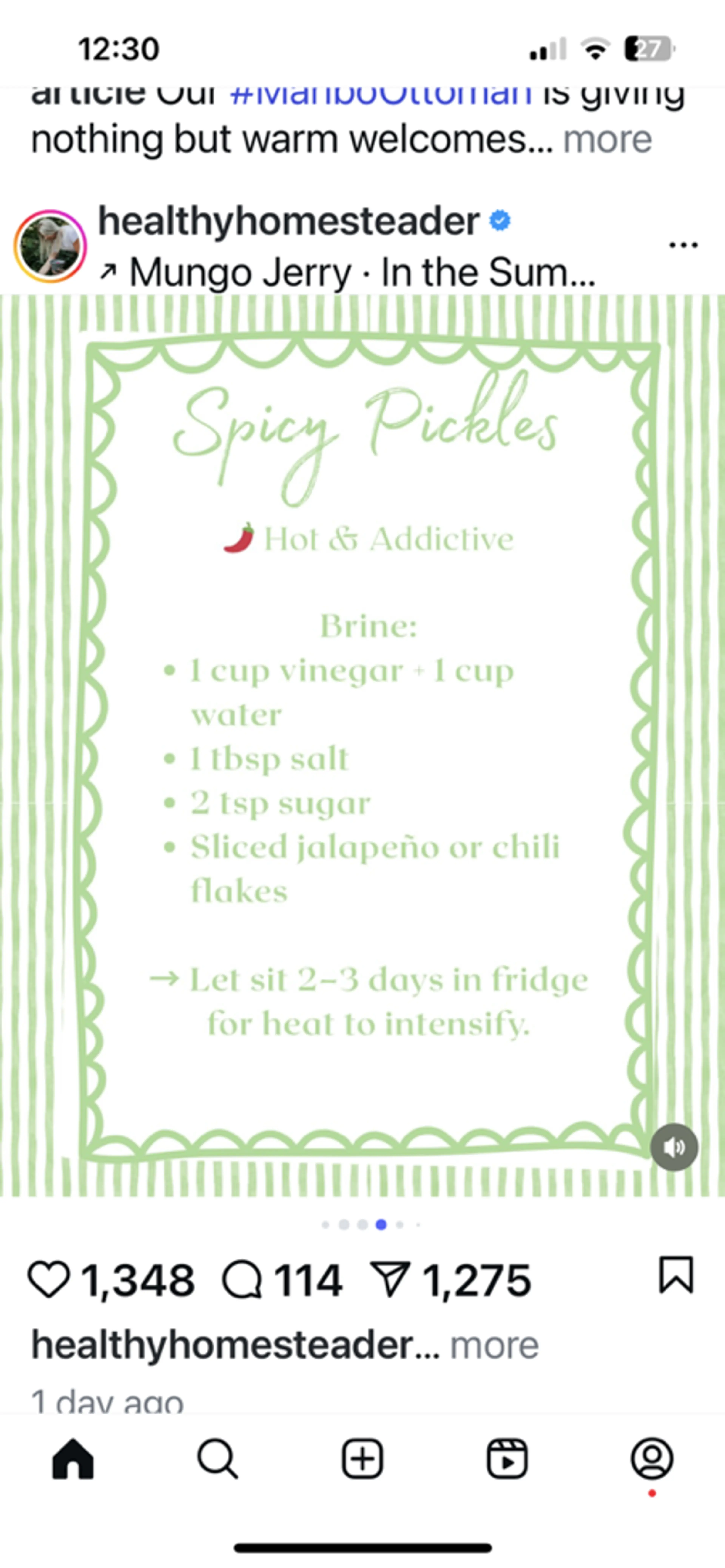 Spicy Pickles Hot & Addictive