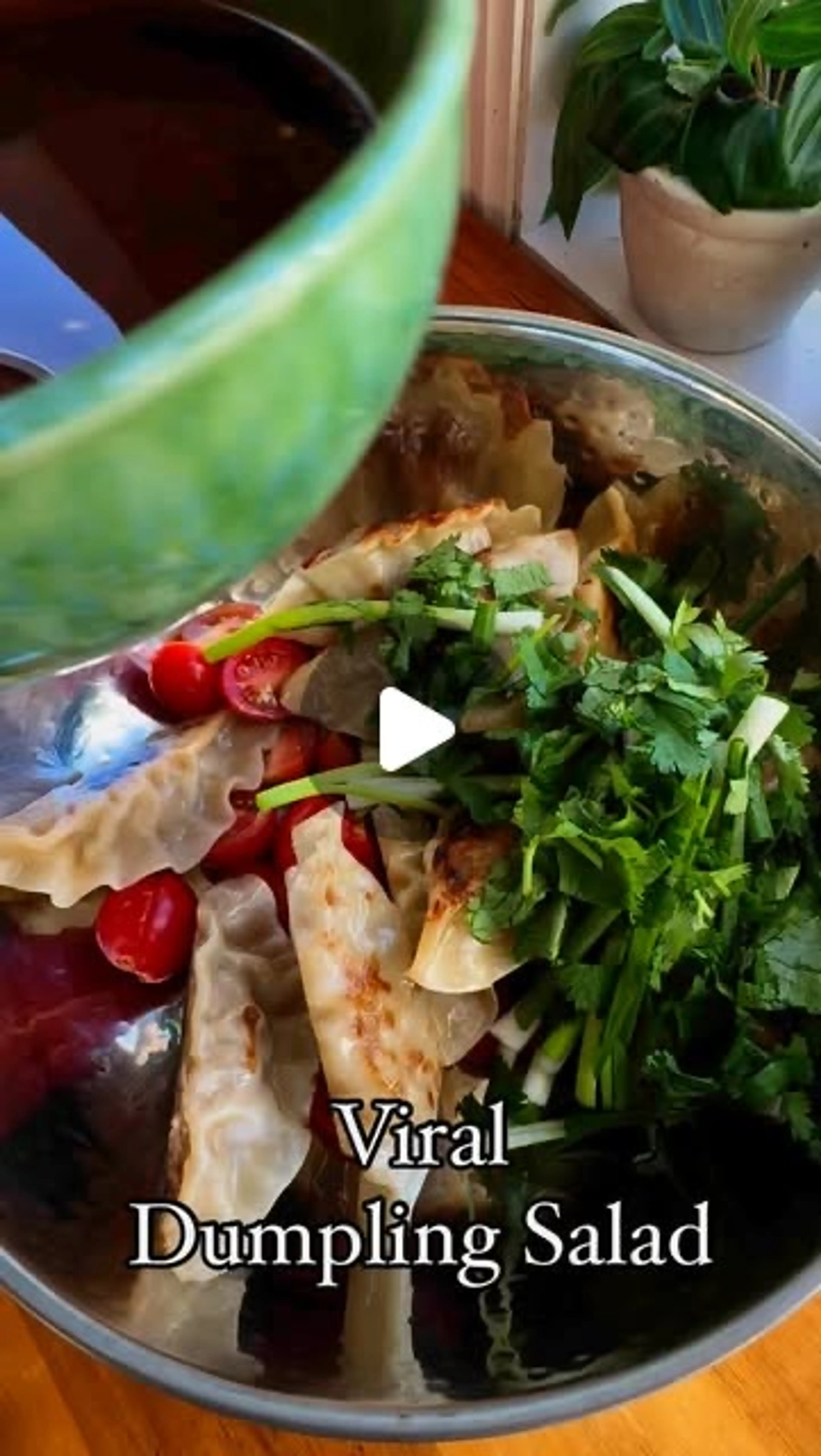 Viral Dumpling Salad - Appetizer or Snack