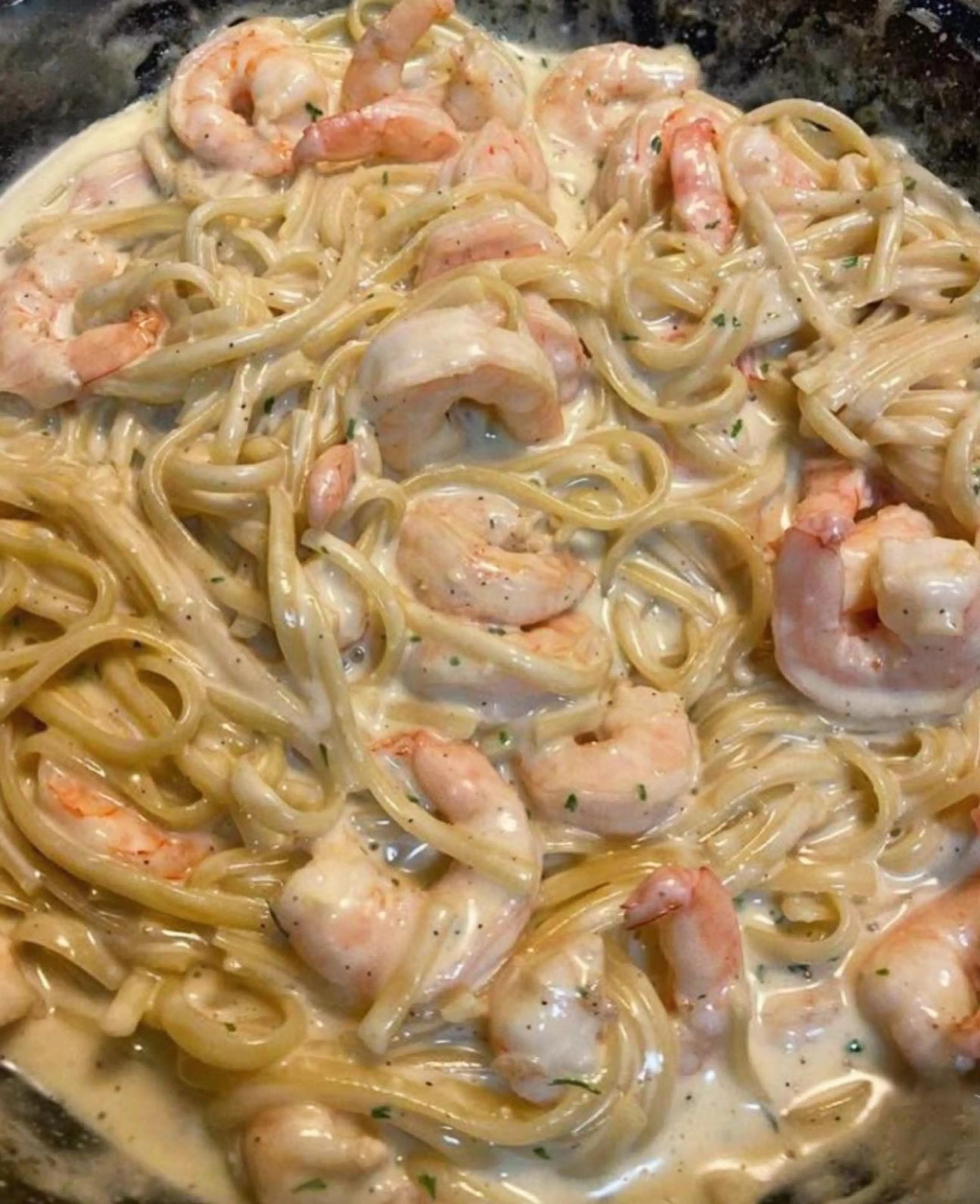 Delicious Shrimp Alfredo (shown with Spaghetti Noodles Becau