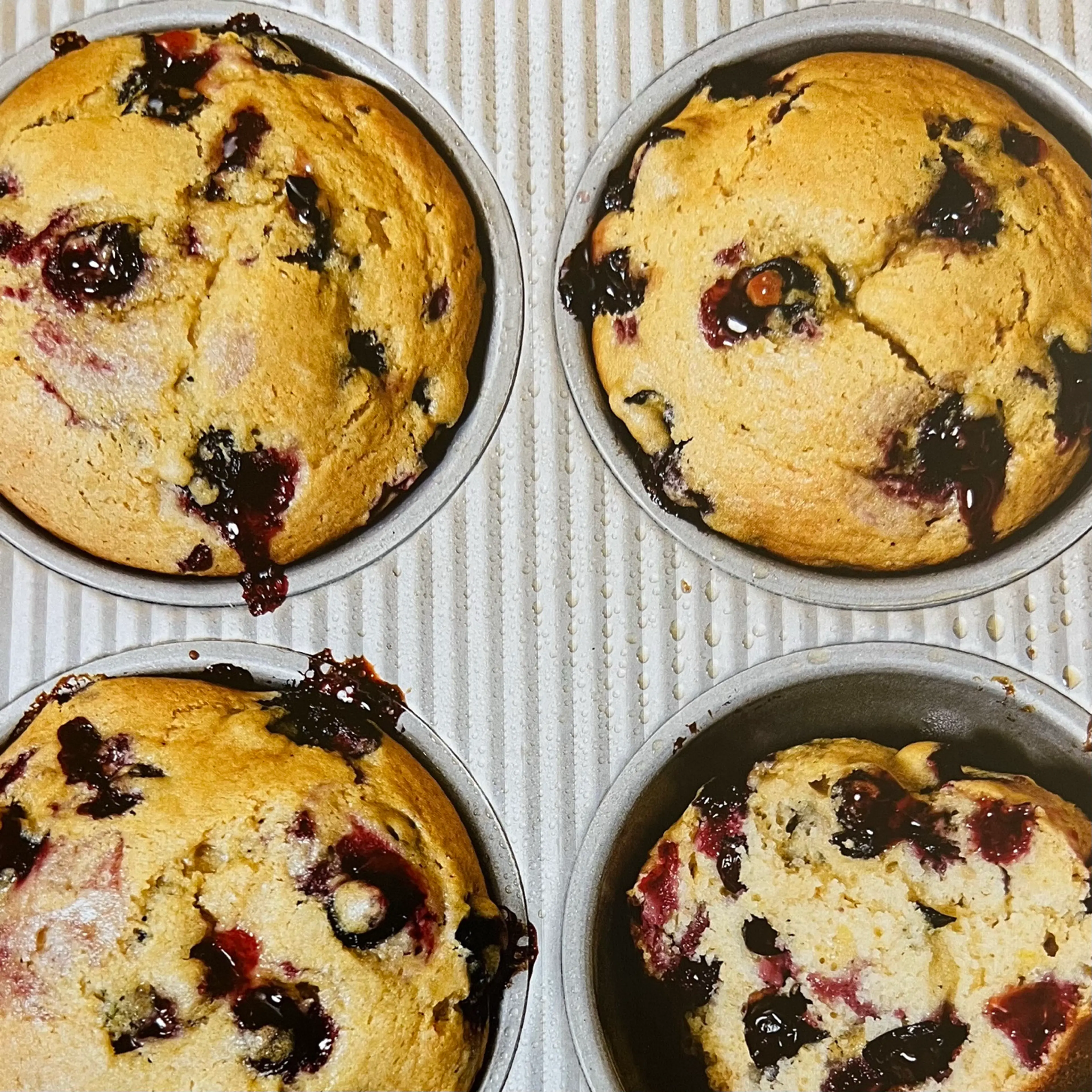 Blueberry- Ginger Muffins