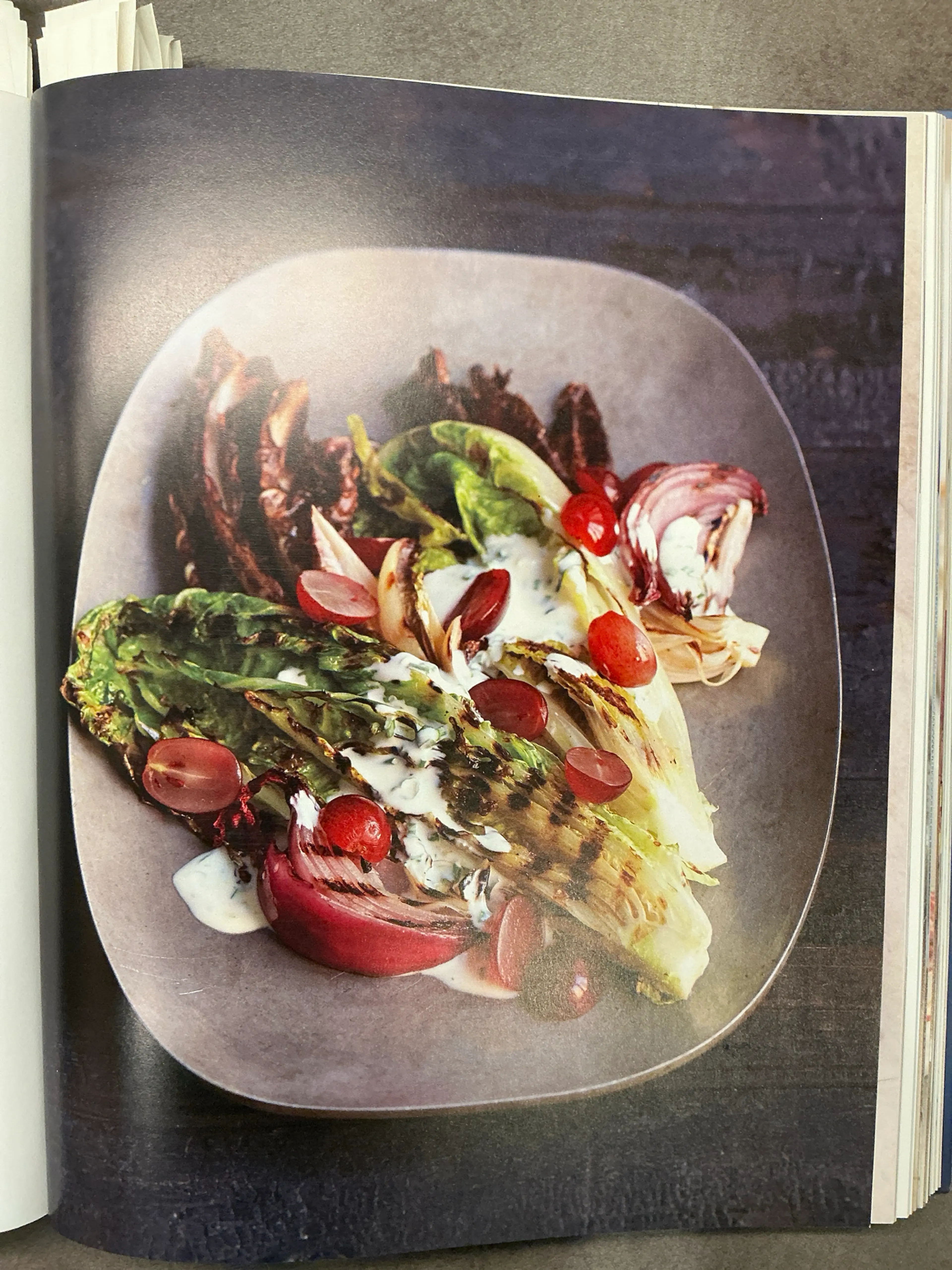 Grilled Romaine + Radicchio Salad