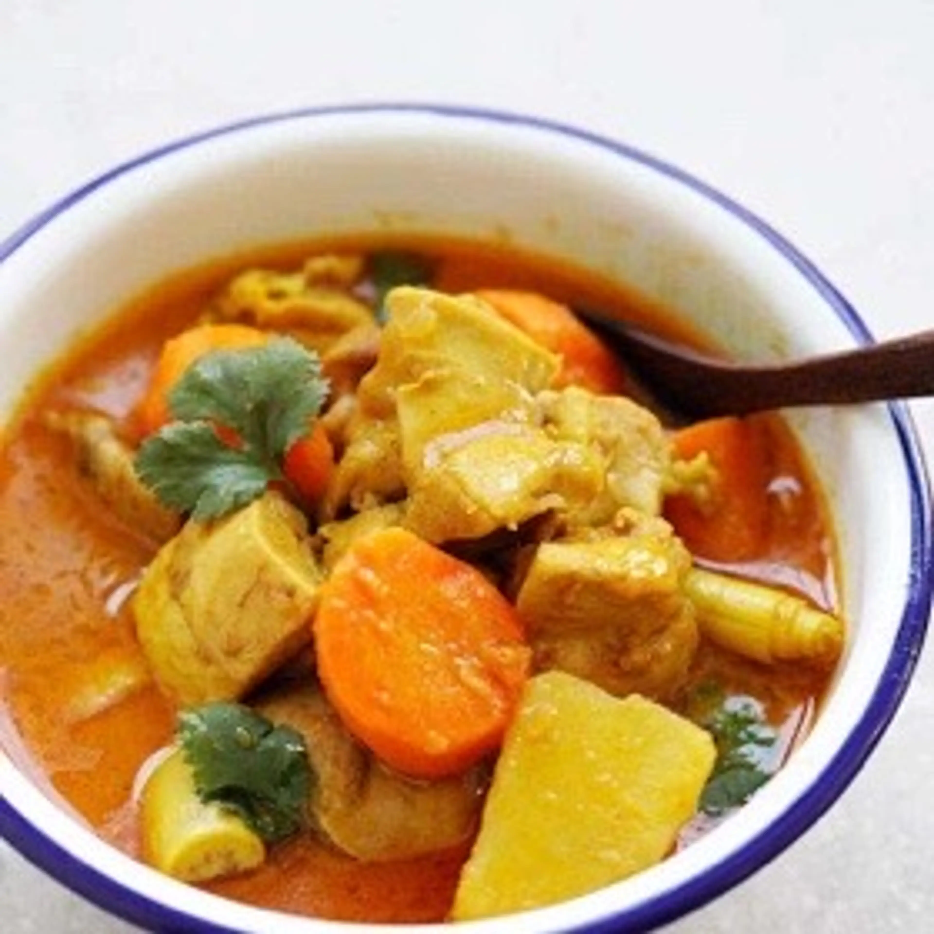 Vietnamese Chicken Curry