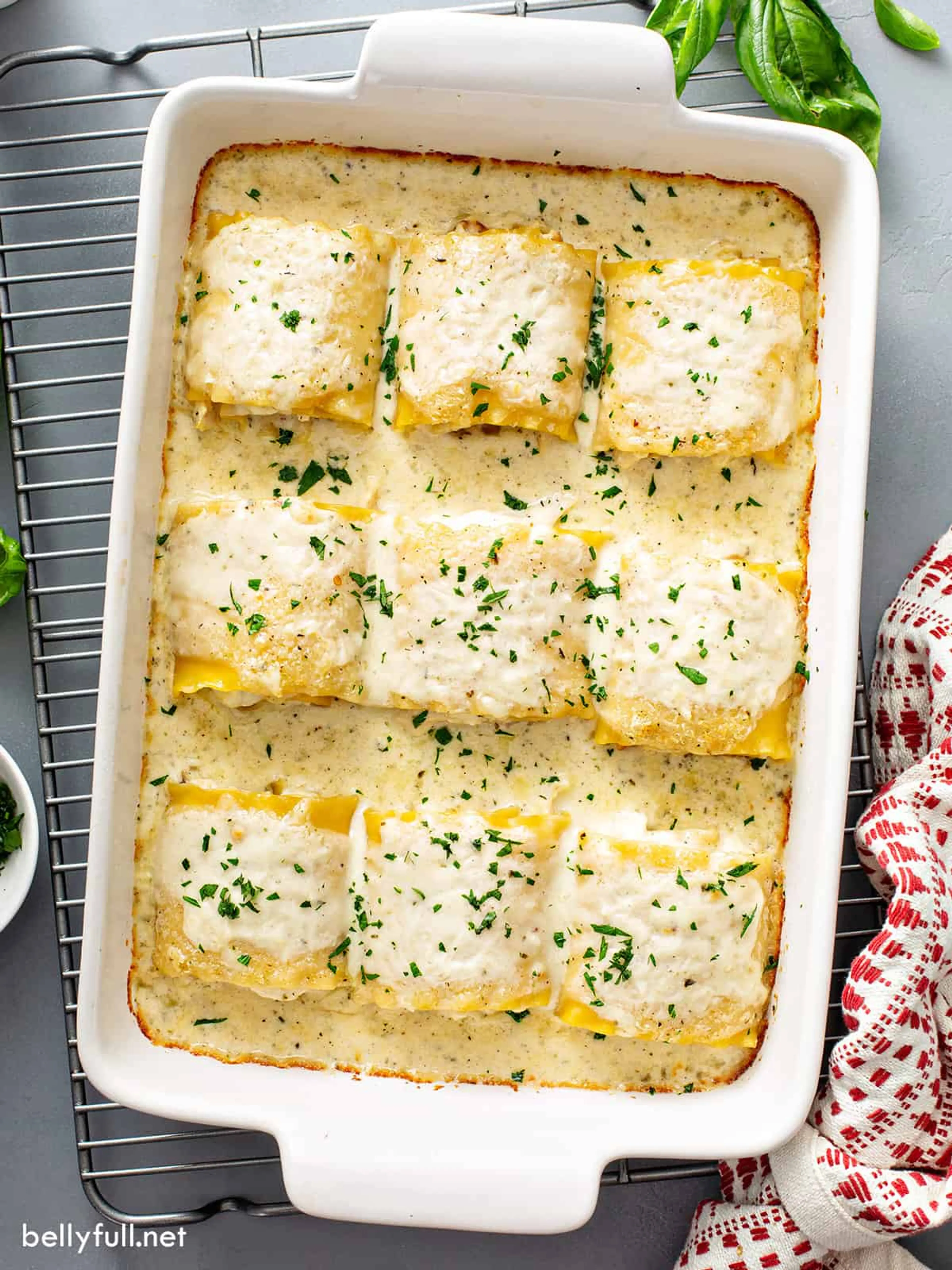 Chicken Alfredo Lasagna Rolls