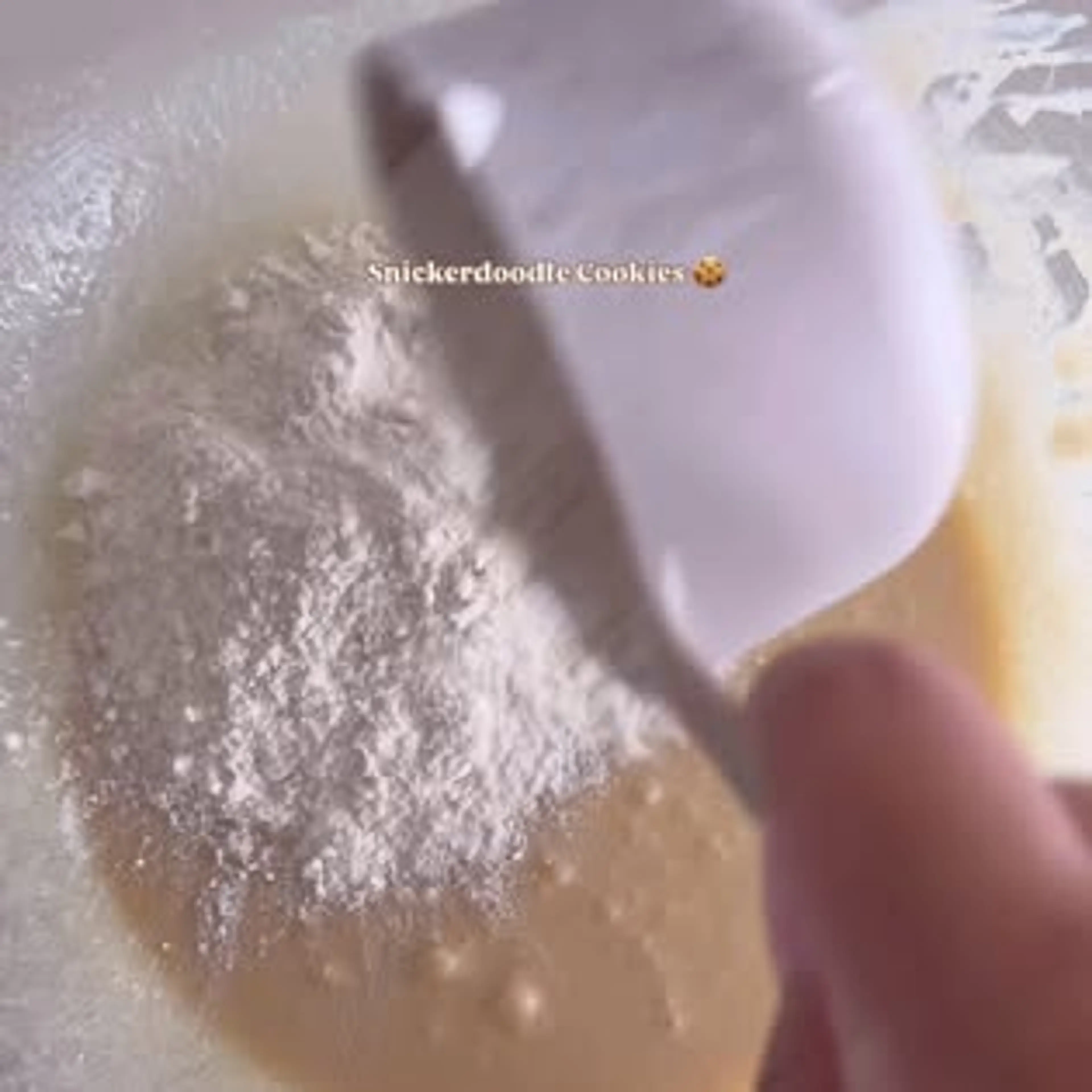 Snickerdoodle Cookies