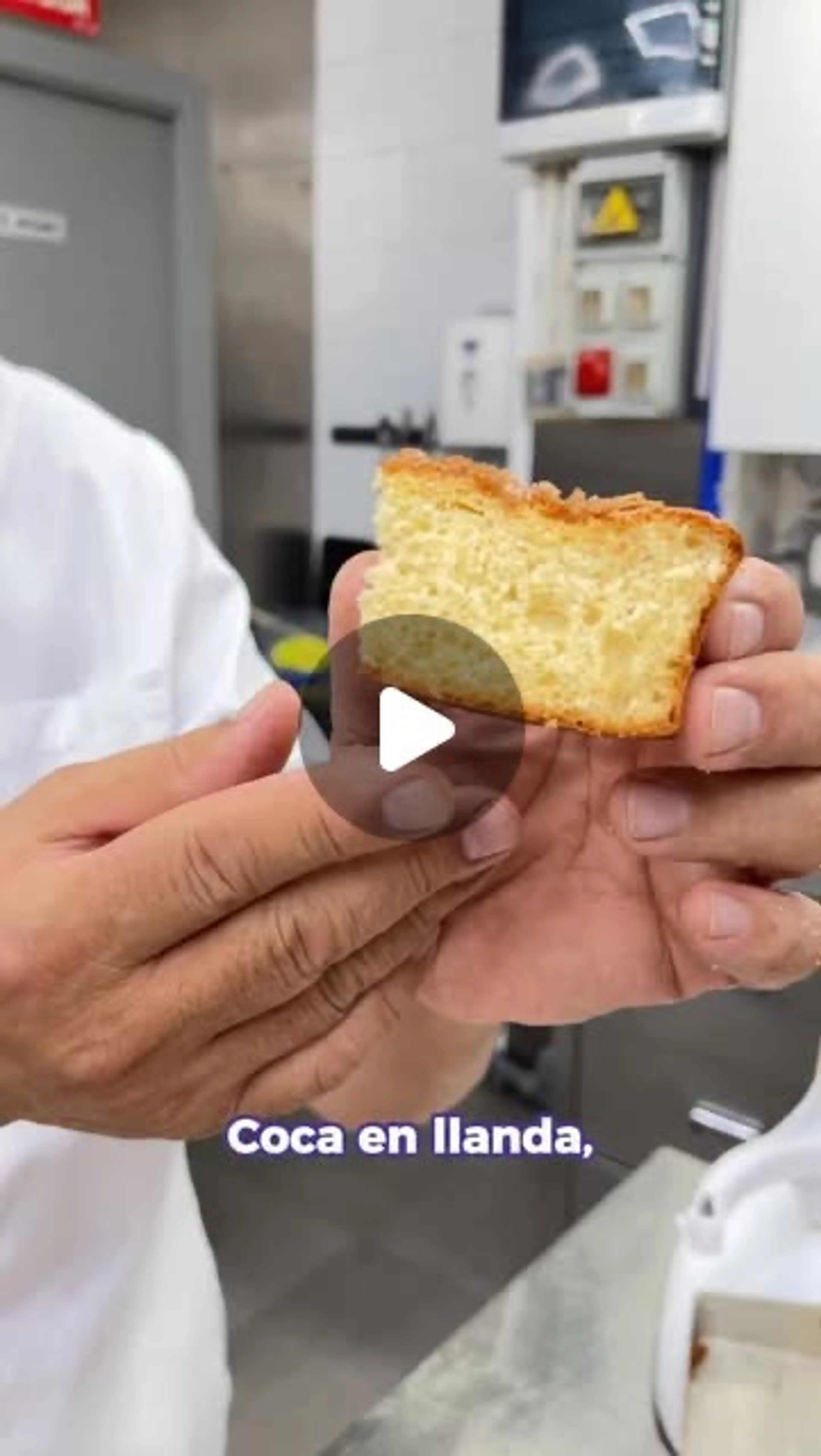 Coca De Mida - Casa Raúl