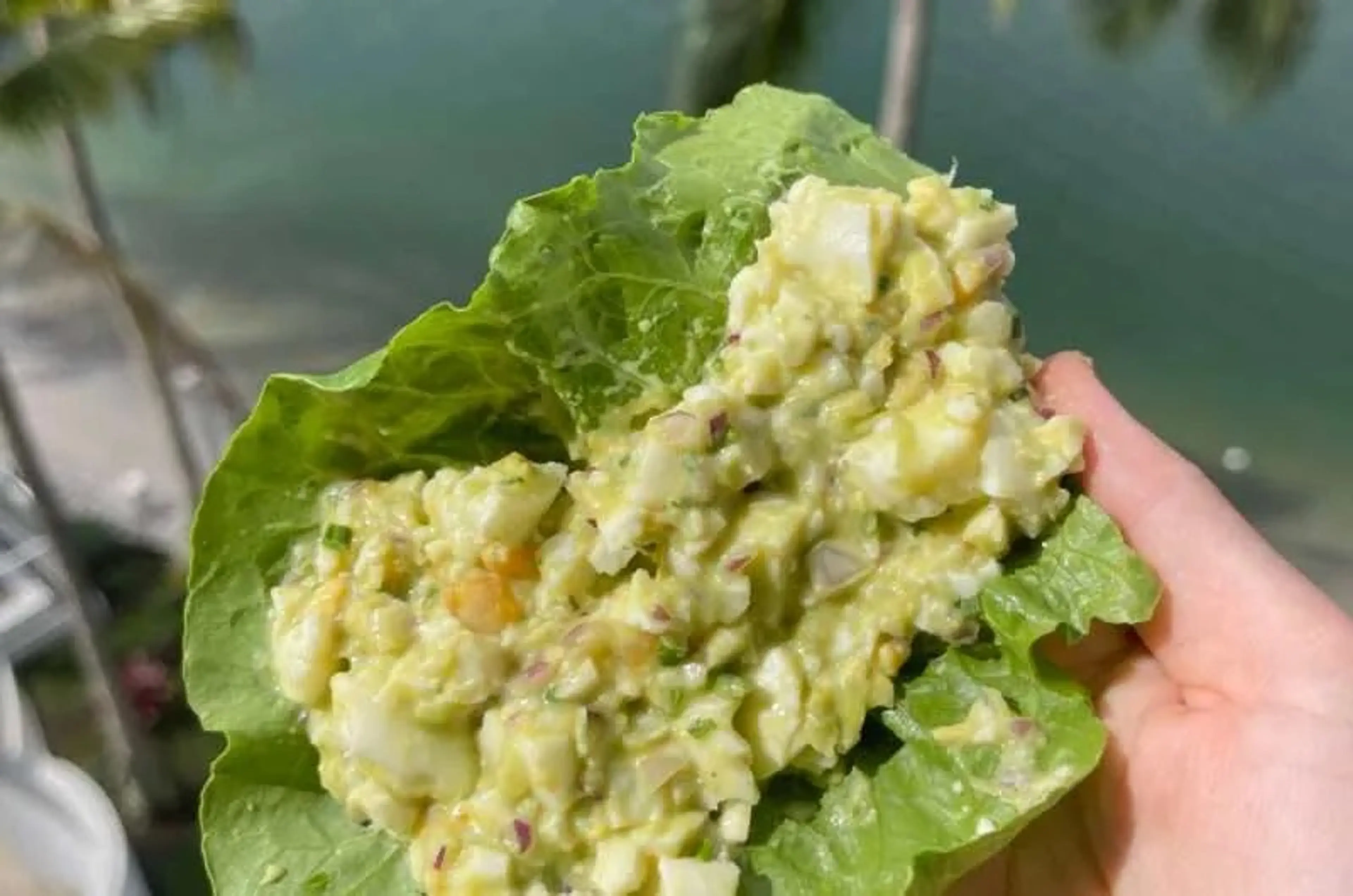 Egg And Avocado Lettuce Boats