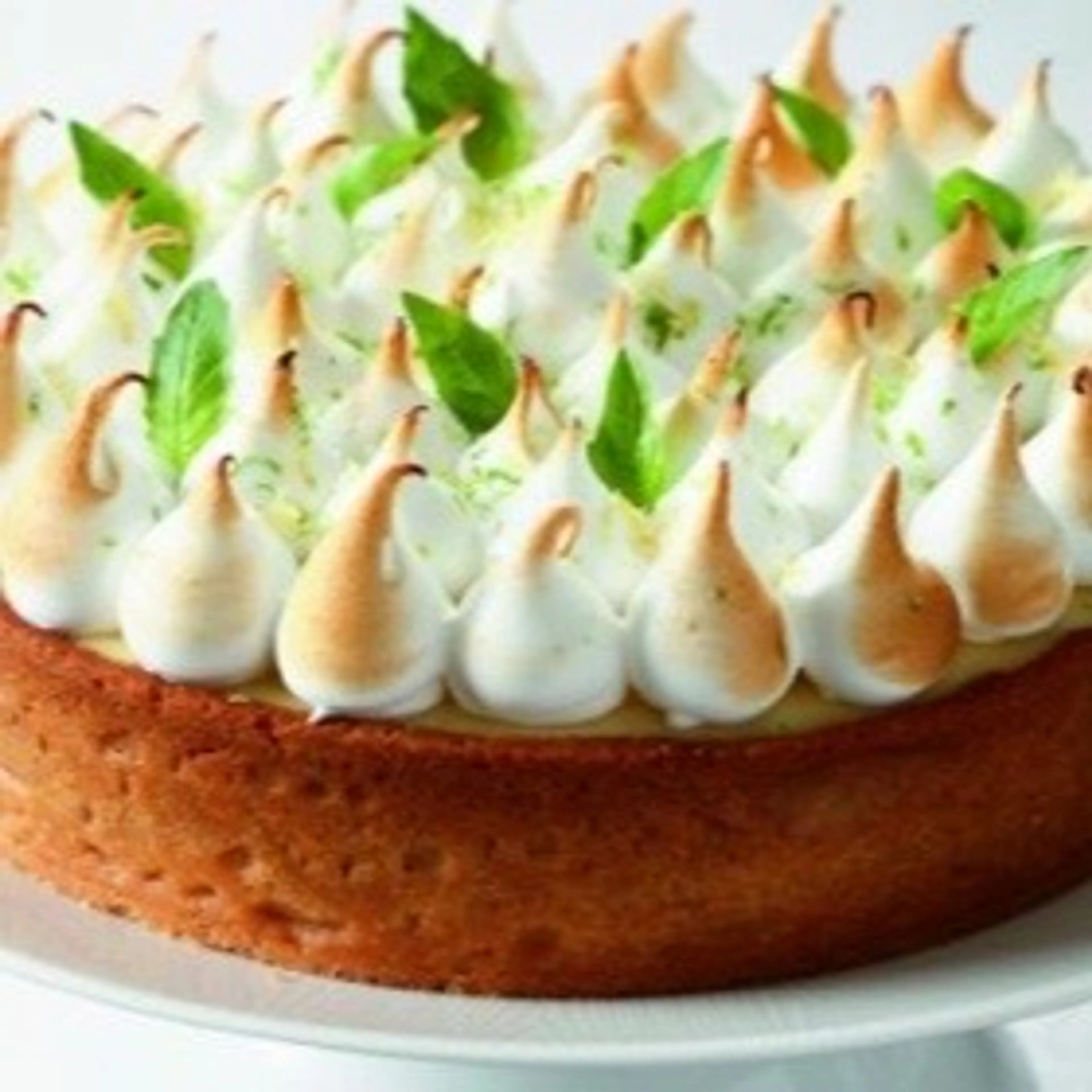Tarte Citron/Basilic