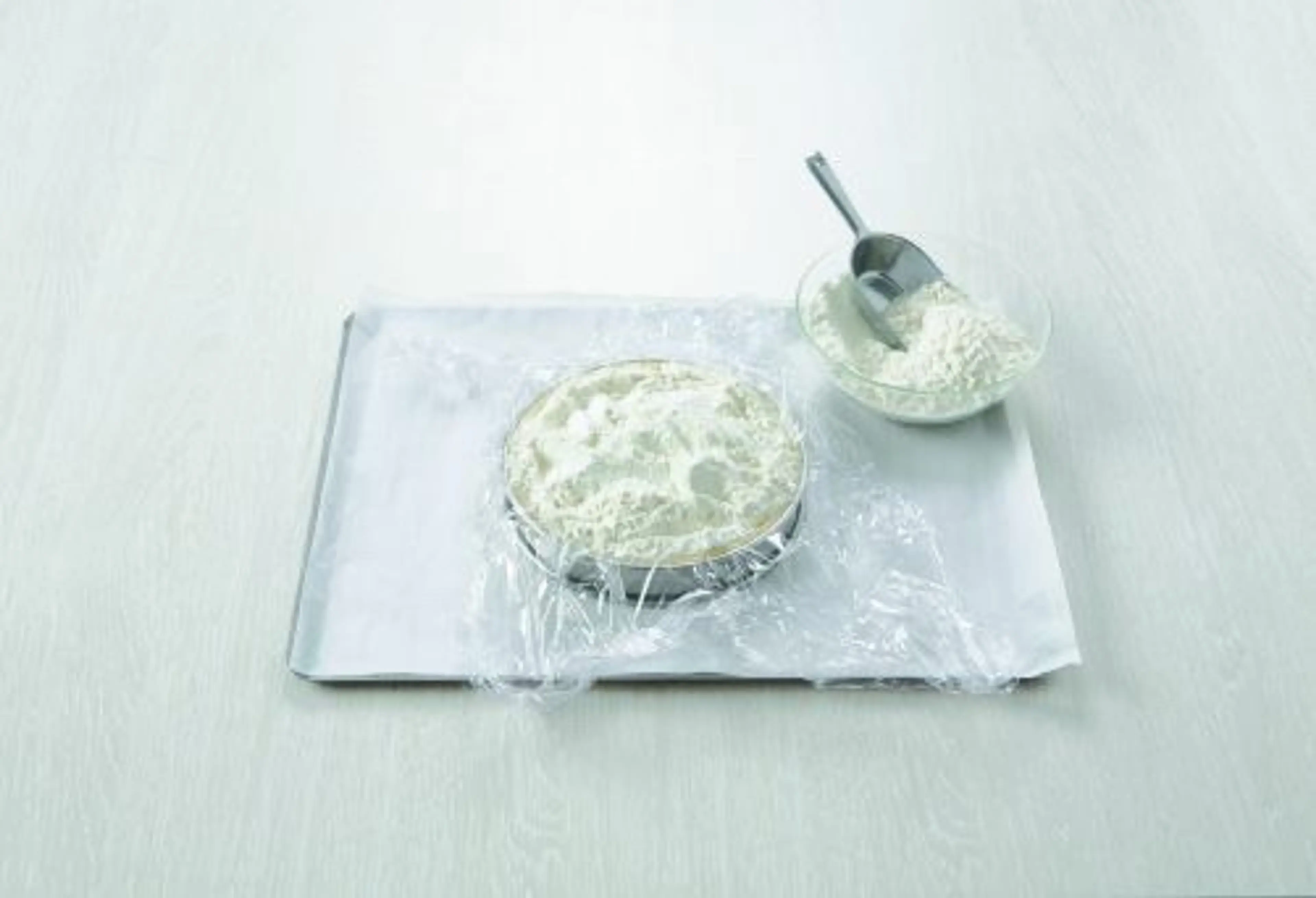 Tarte Citron/Basilic