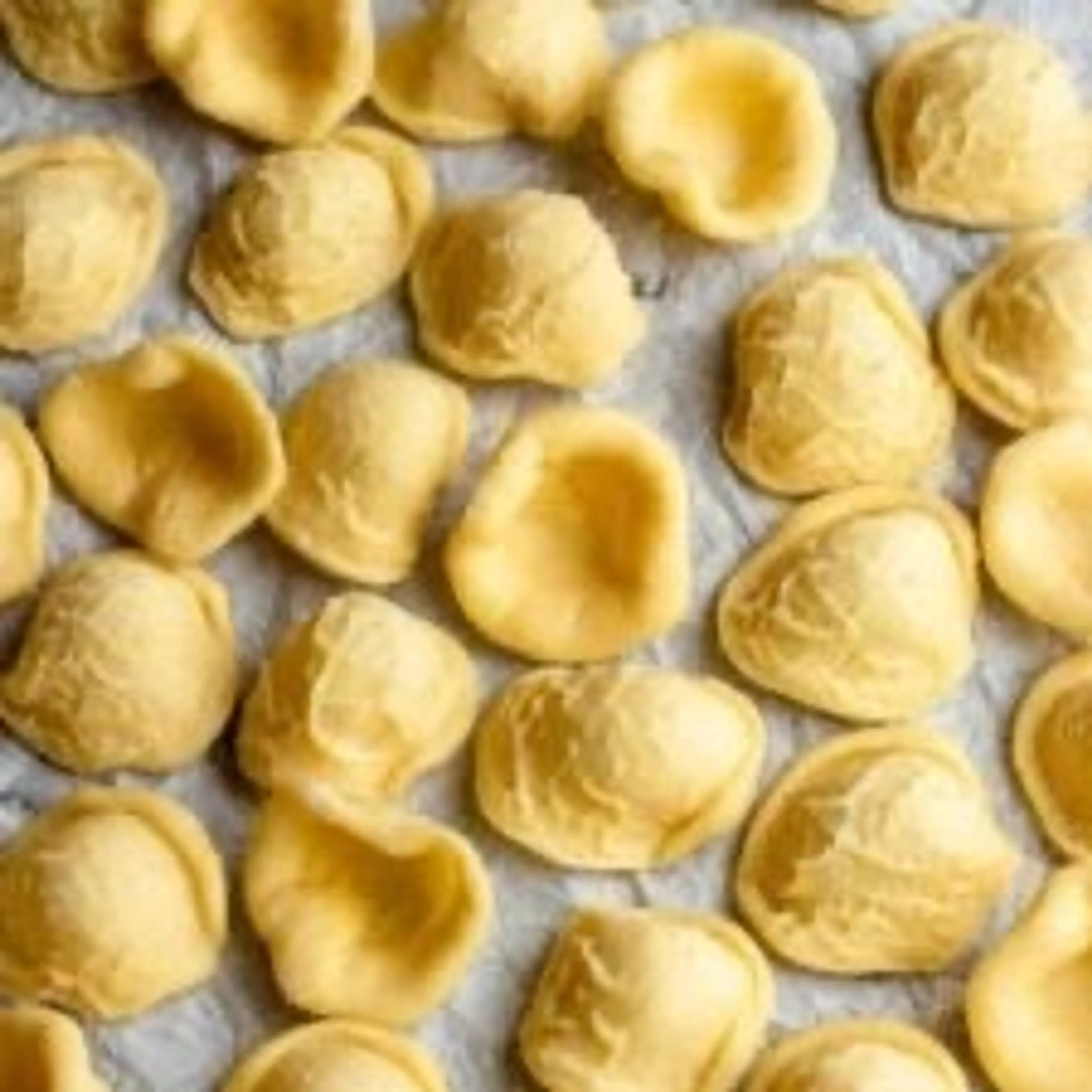 Homemade Orecchiette