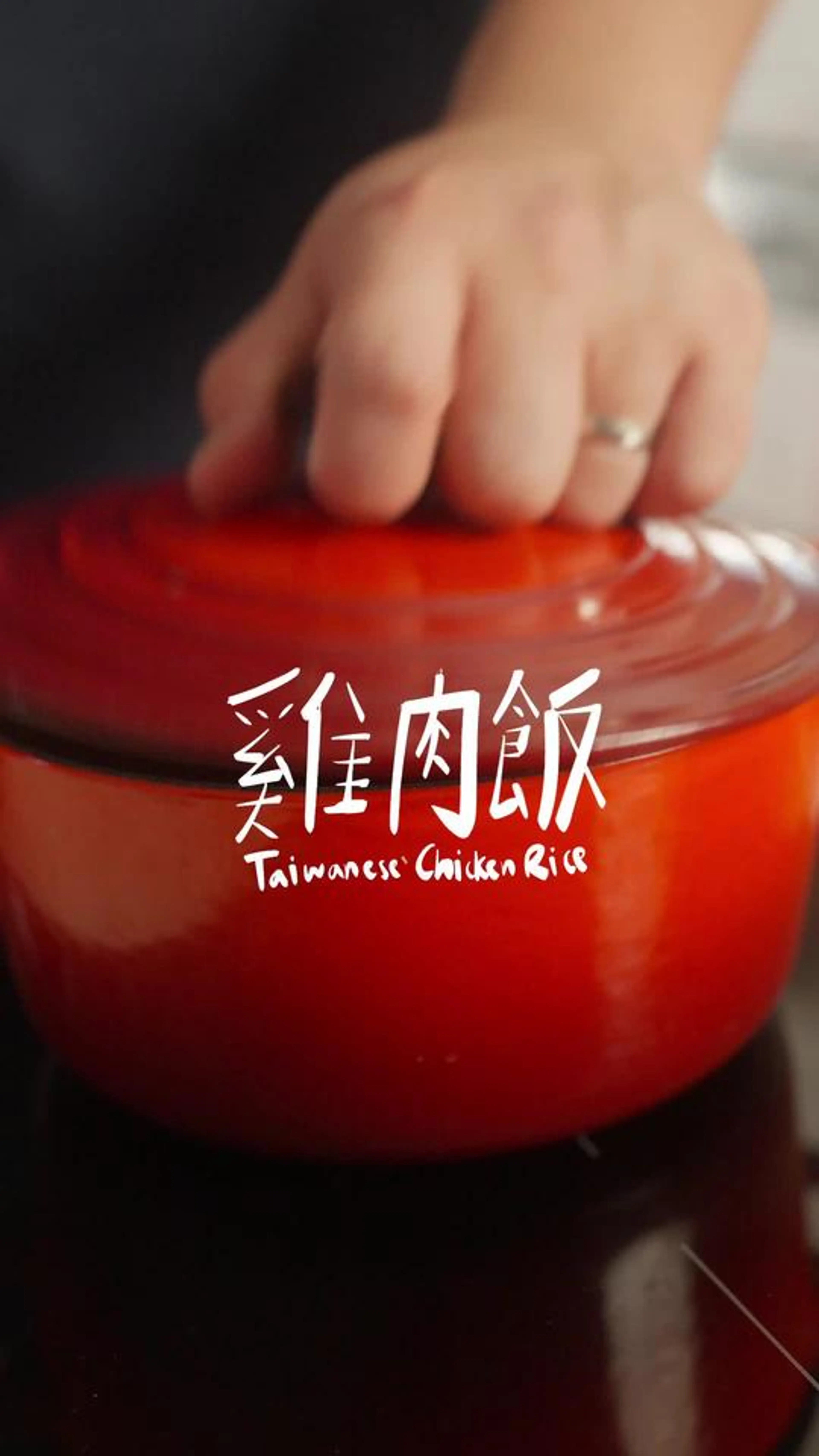 Taiwanese Chicken and Rice