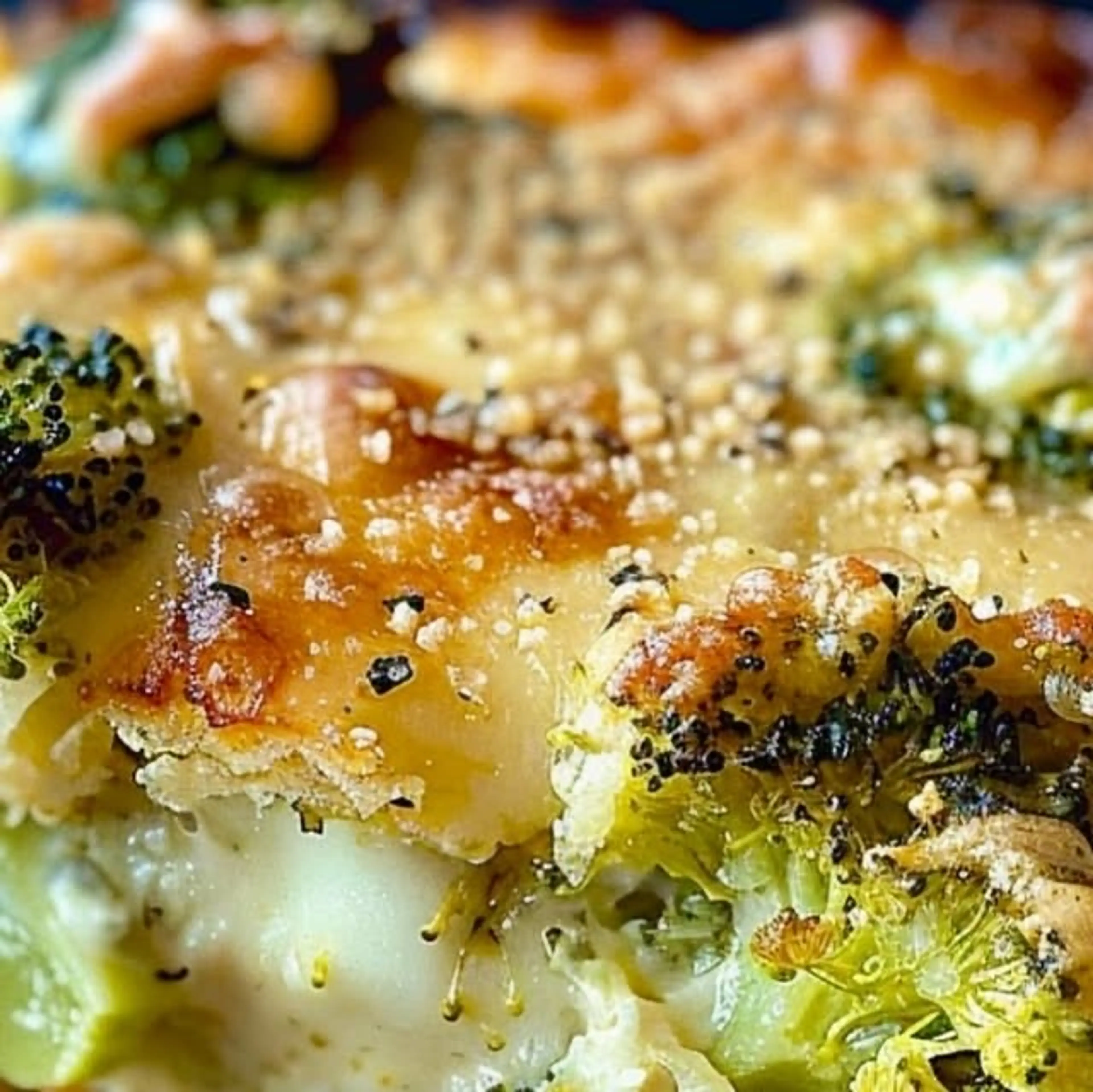 Broccoli and Three-cheese Savory Bake