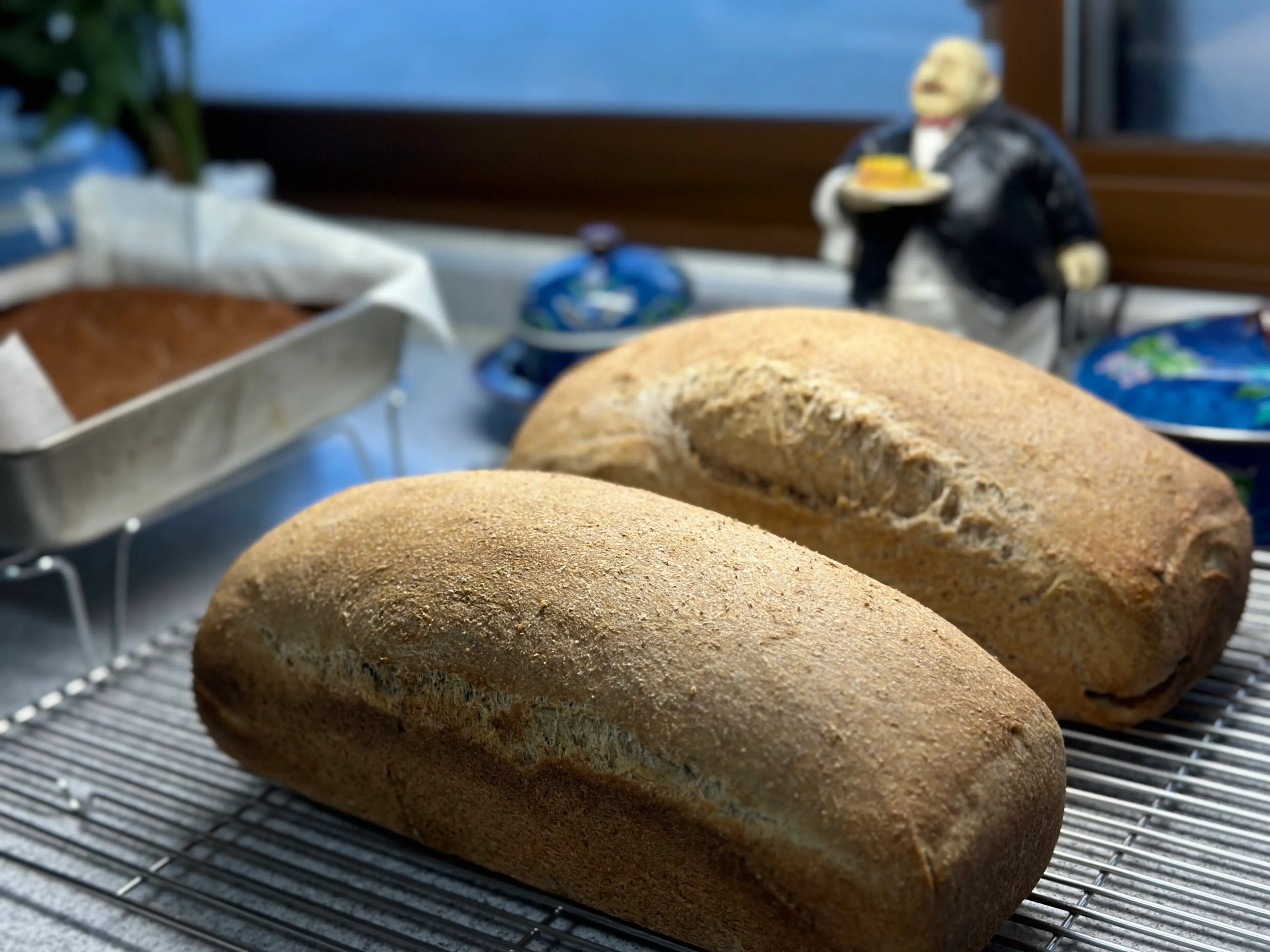 whole wheat loaf