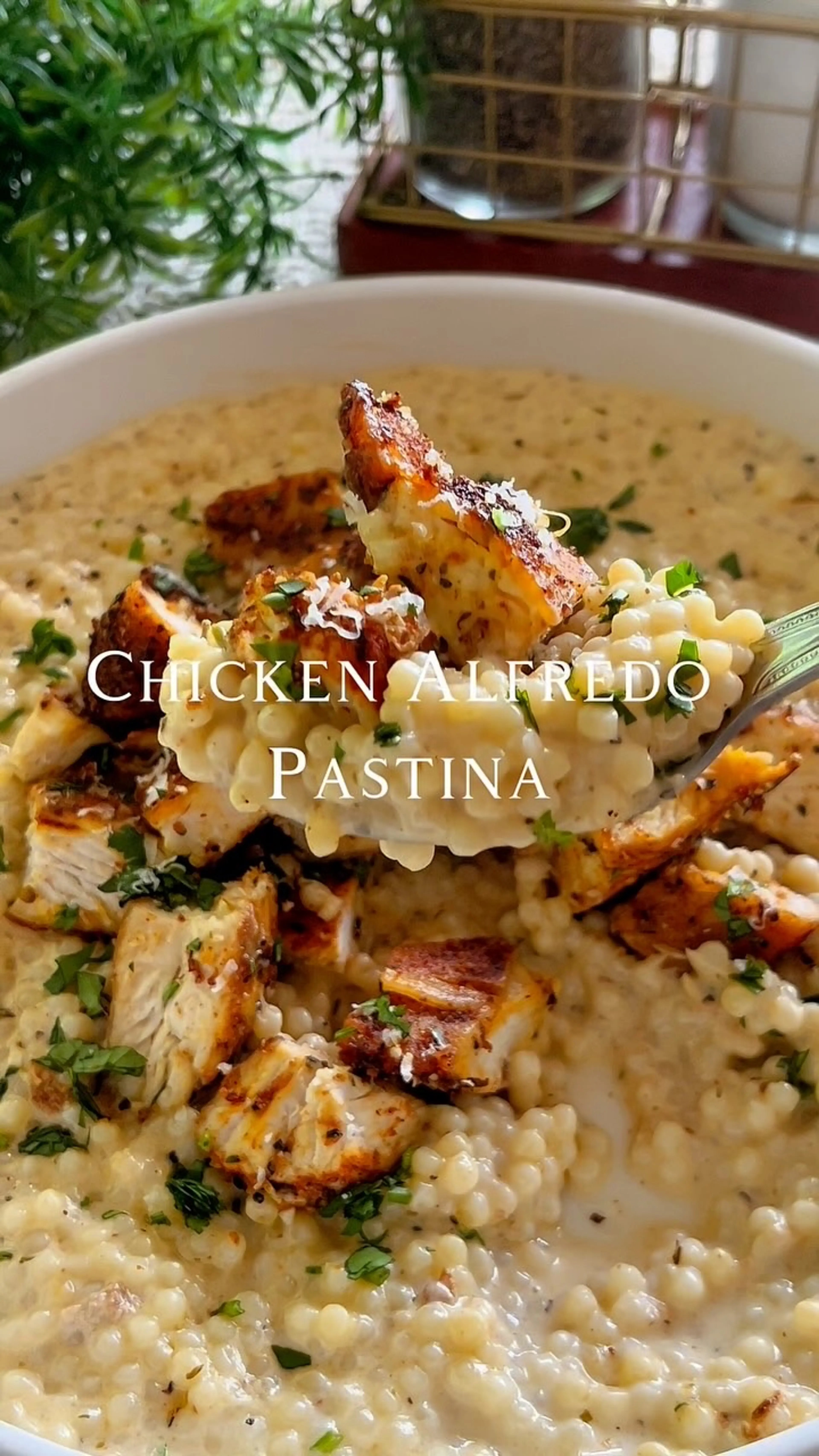 Chicken Alfredo Pasti