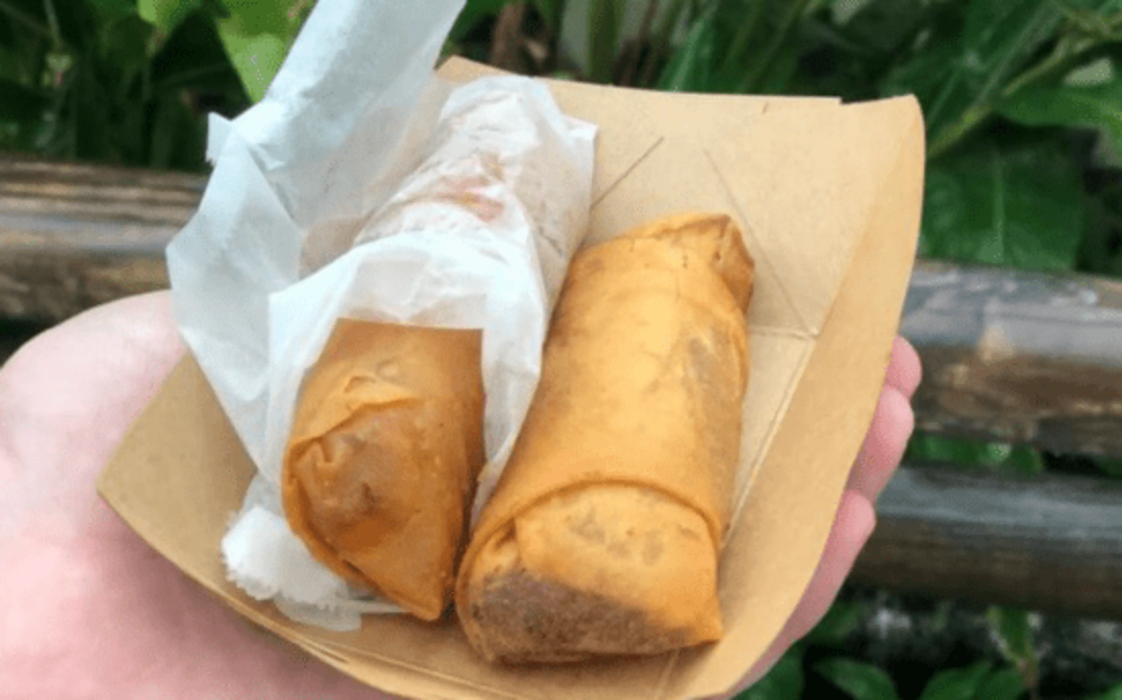 Cheeseburger Spring Rolls