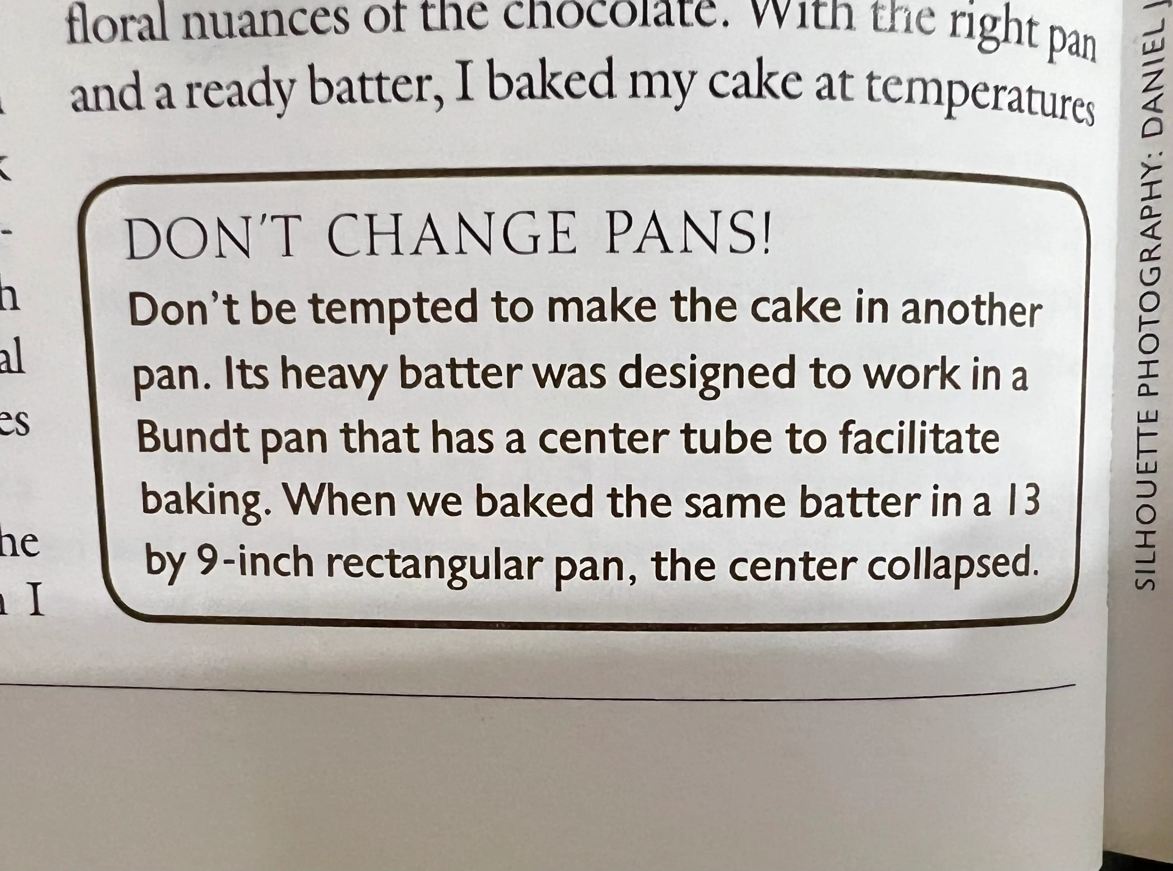 Chocolate Sour Cream Bundt Cake (ATK)
