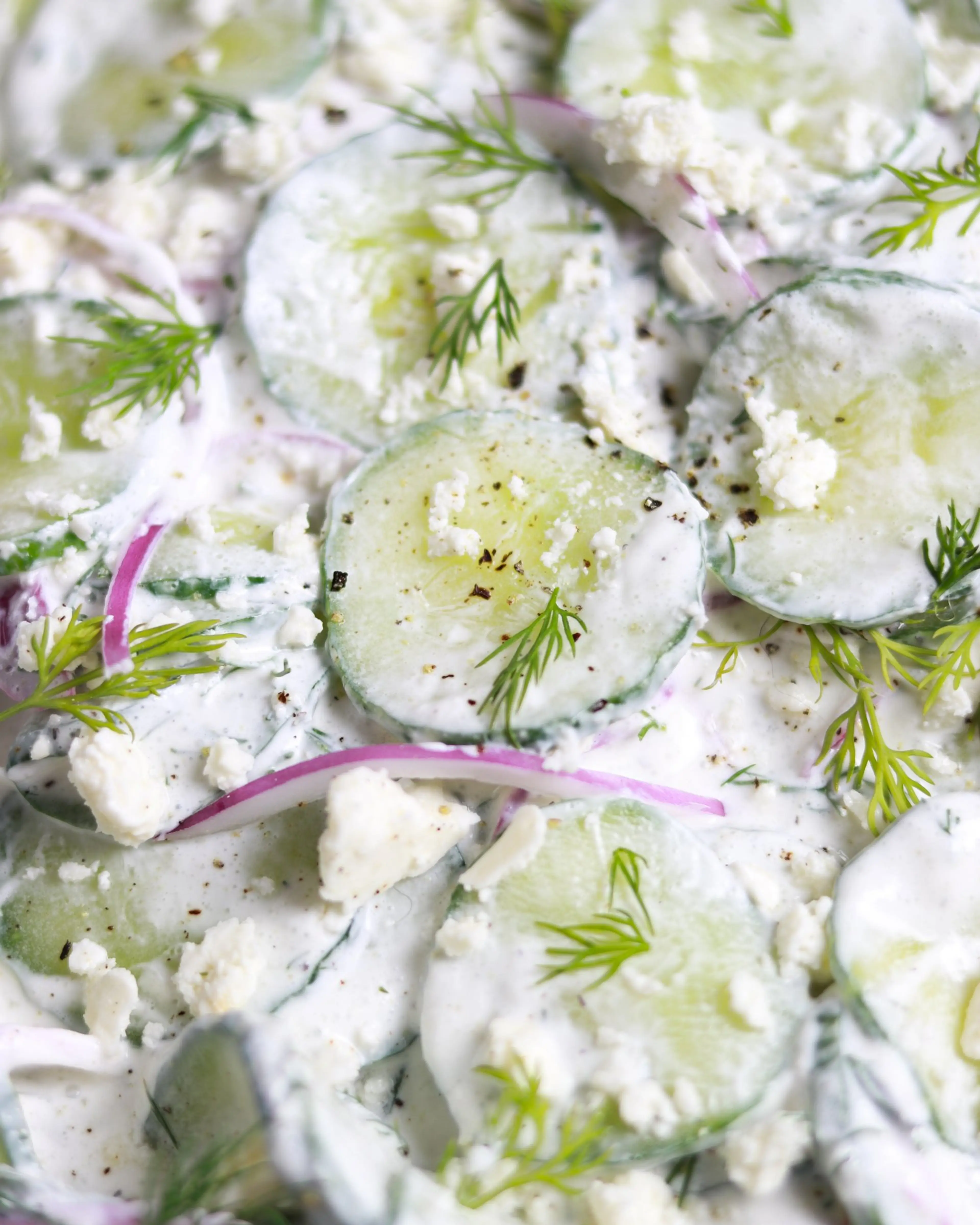Creamy Cucumber Salad