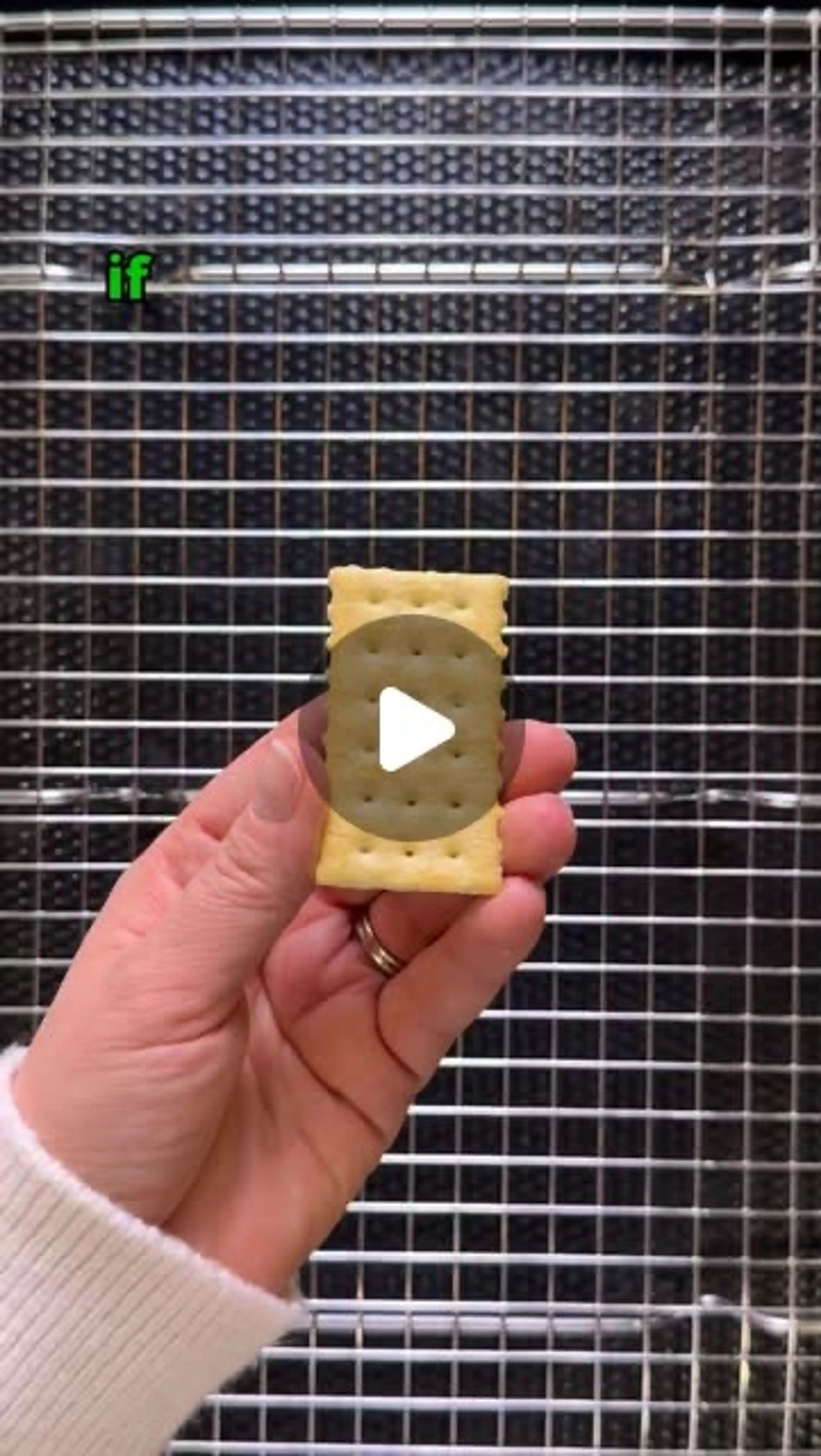 Everything Bagel Bacon Crackers