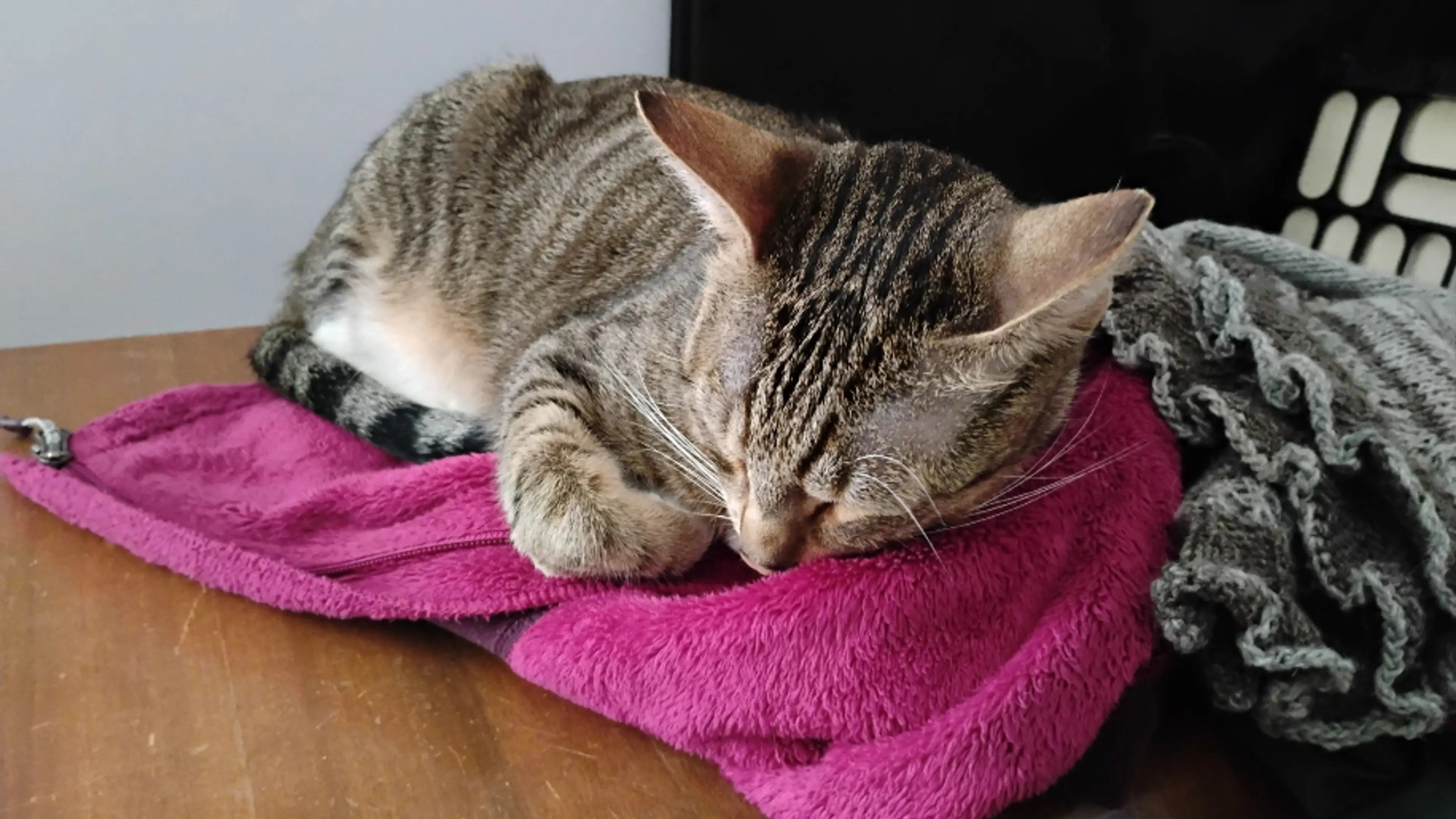 High Protein Egg Biscuit