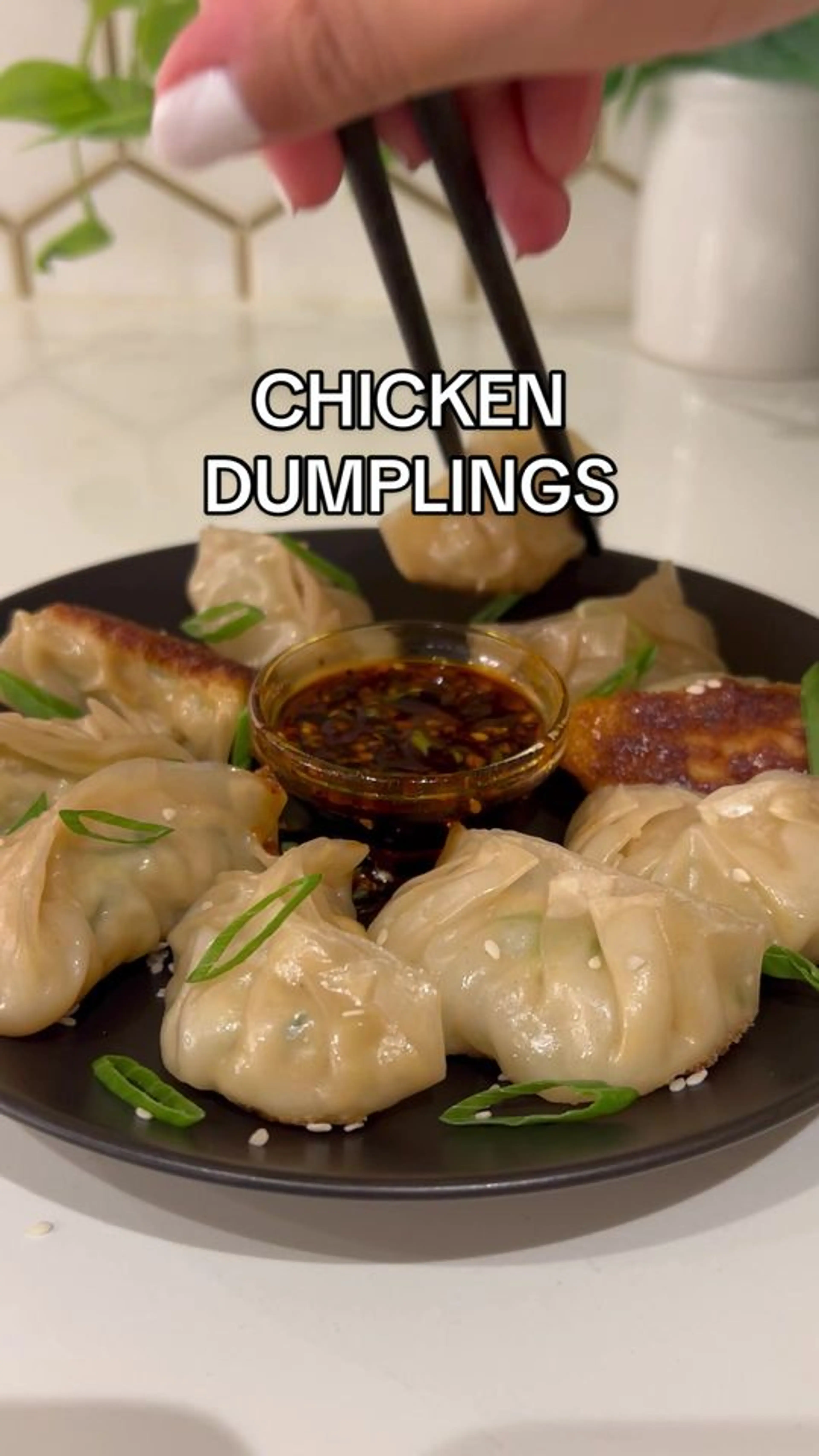 Chicken Dumplings for Lunar New Year to Bring You Good Fortu