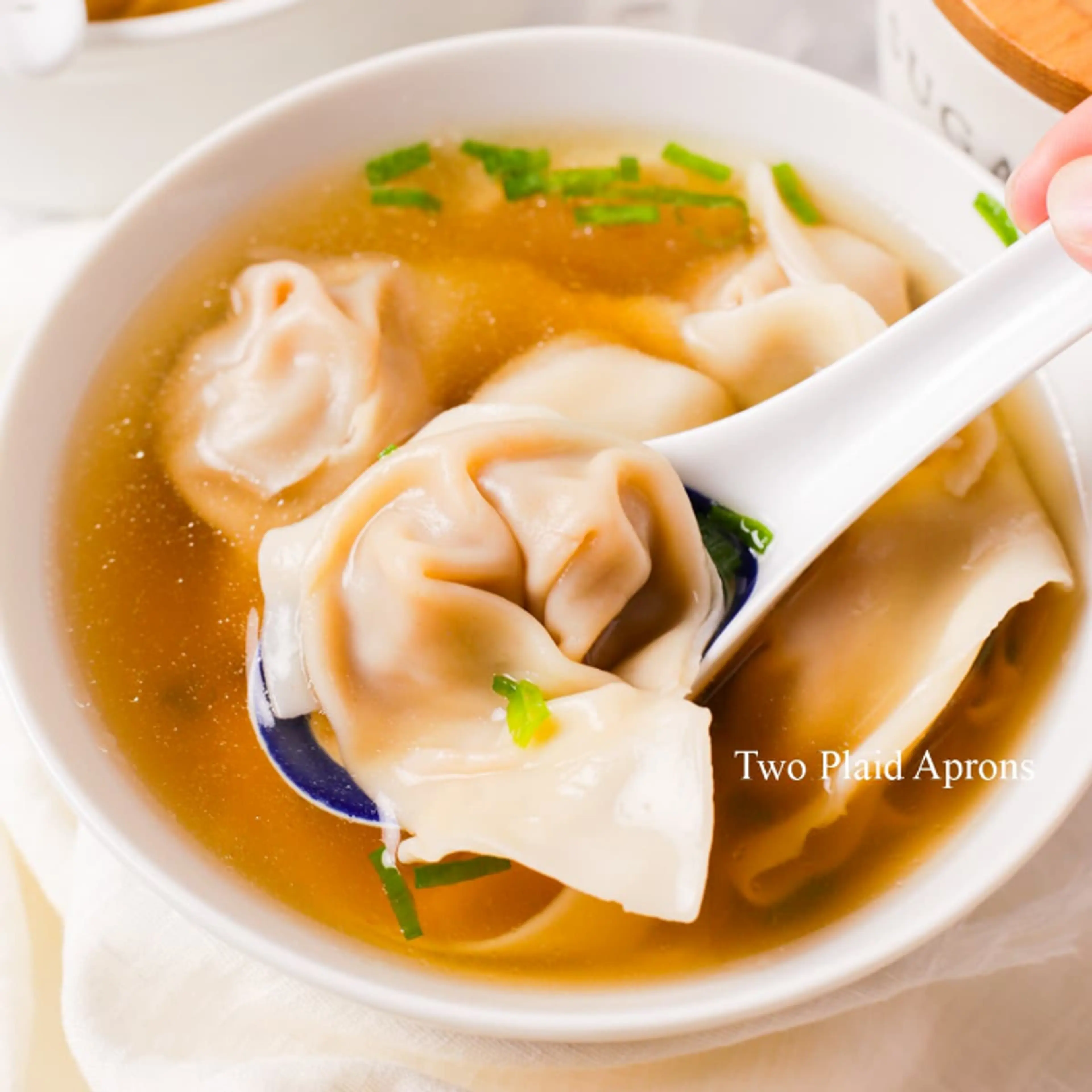 Wonton Soup