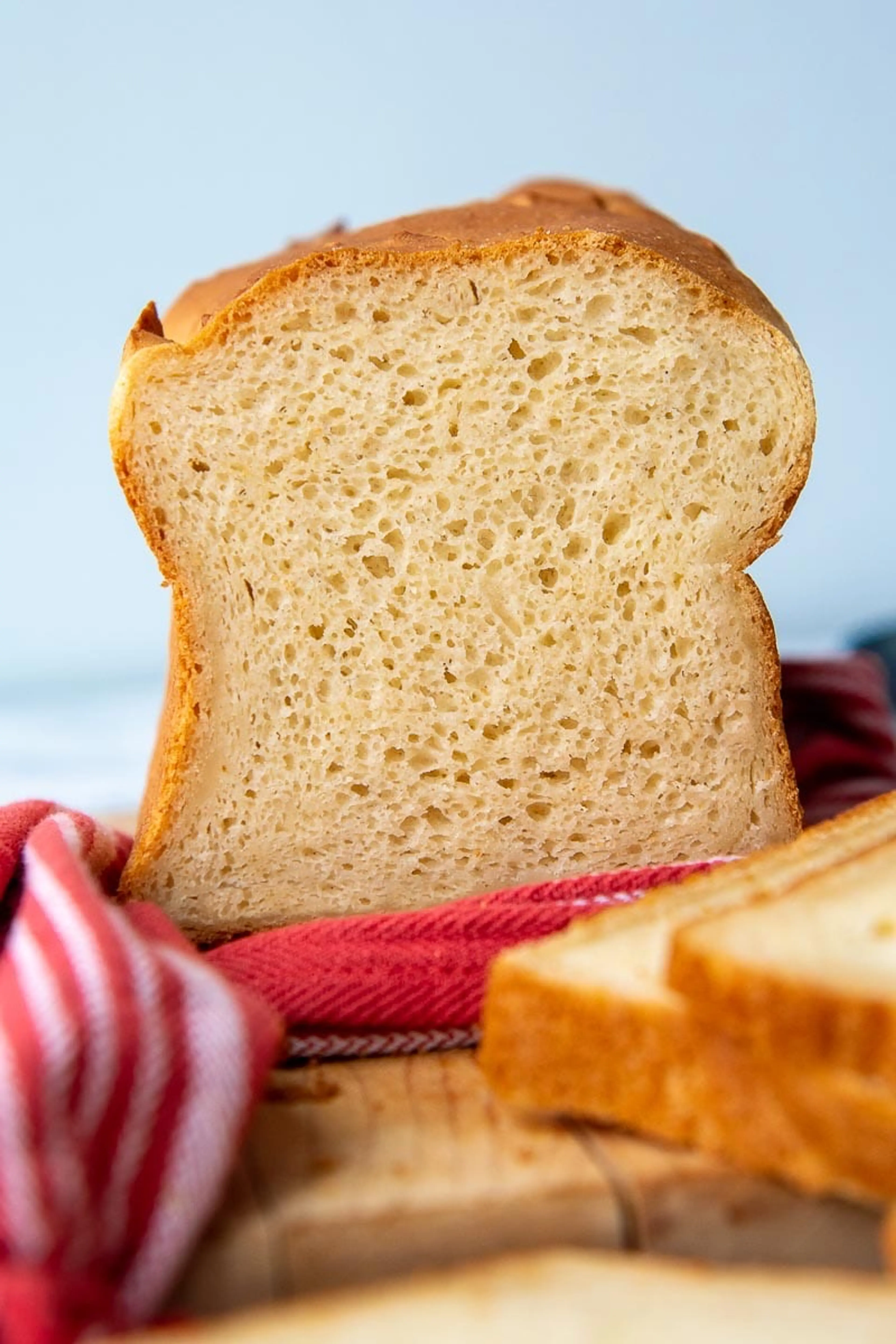 Legit Squishy-Soft Gluten Free Bread Recipe