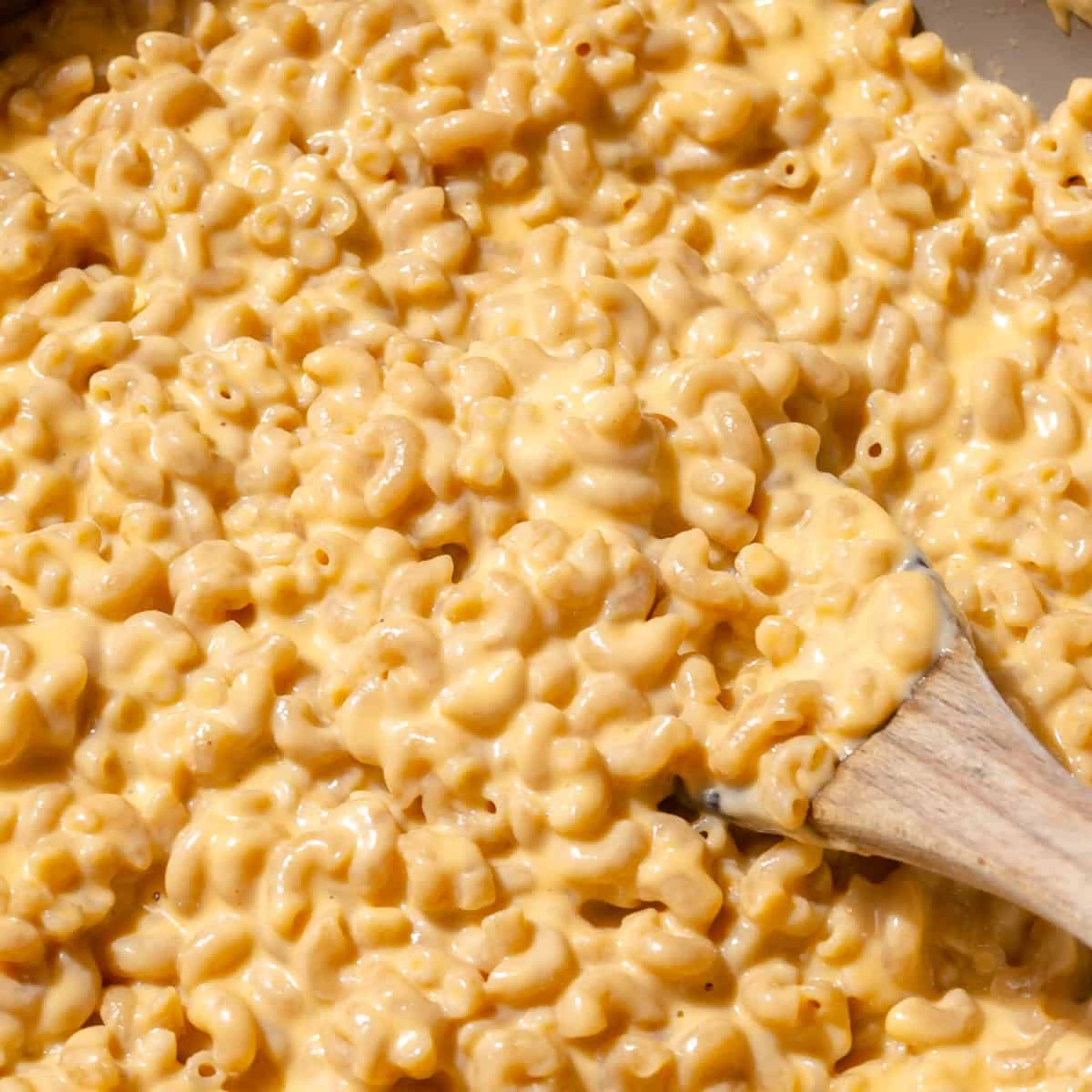 Cottage Cheese Mac and Cheese