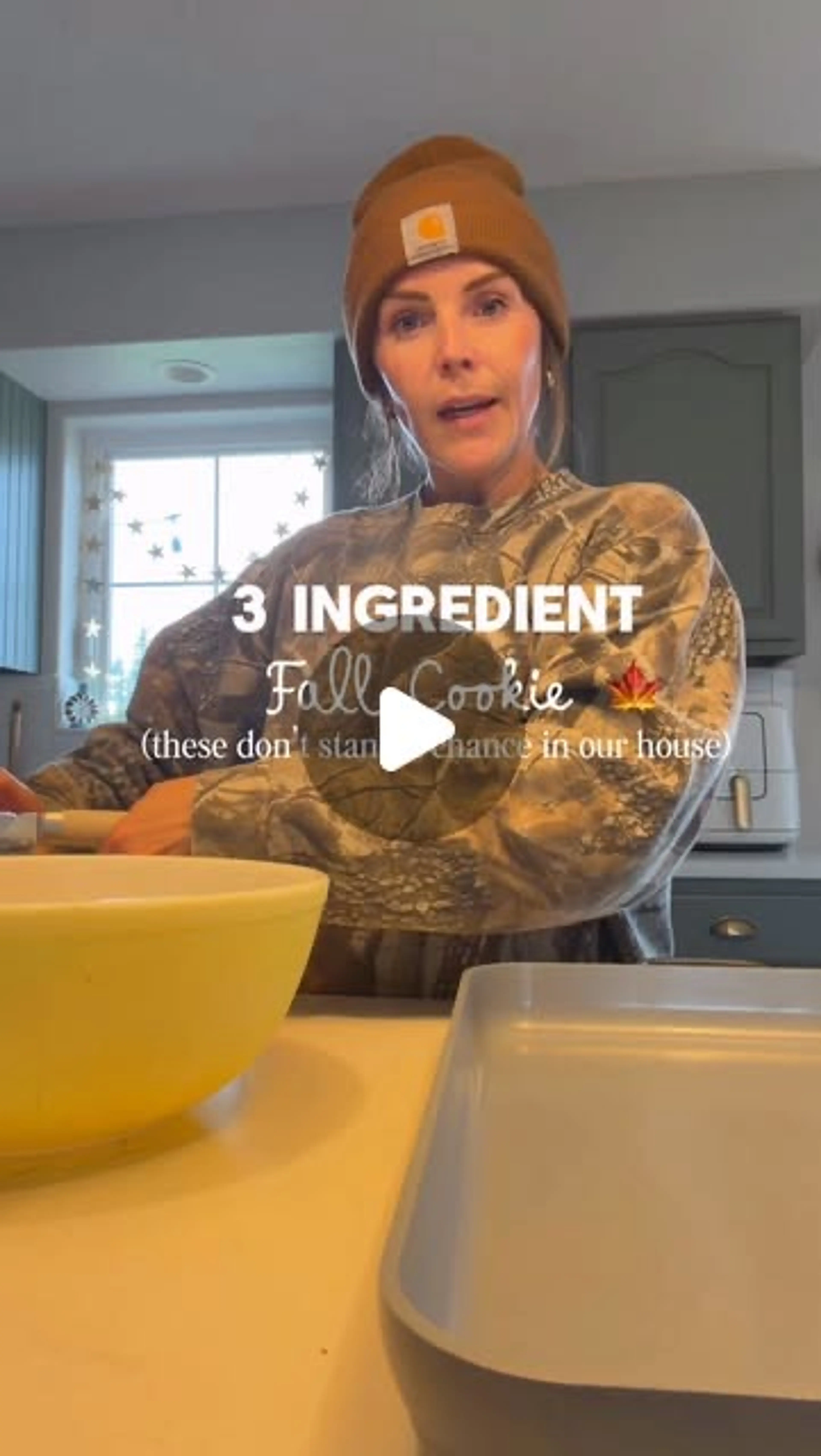 Three Ingredient Pumpkin Chocolate Chip Cookies
