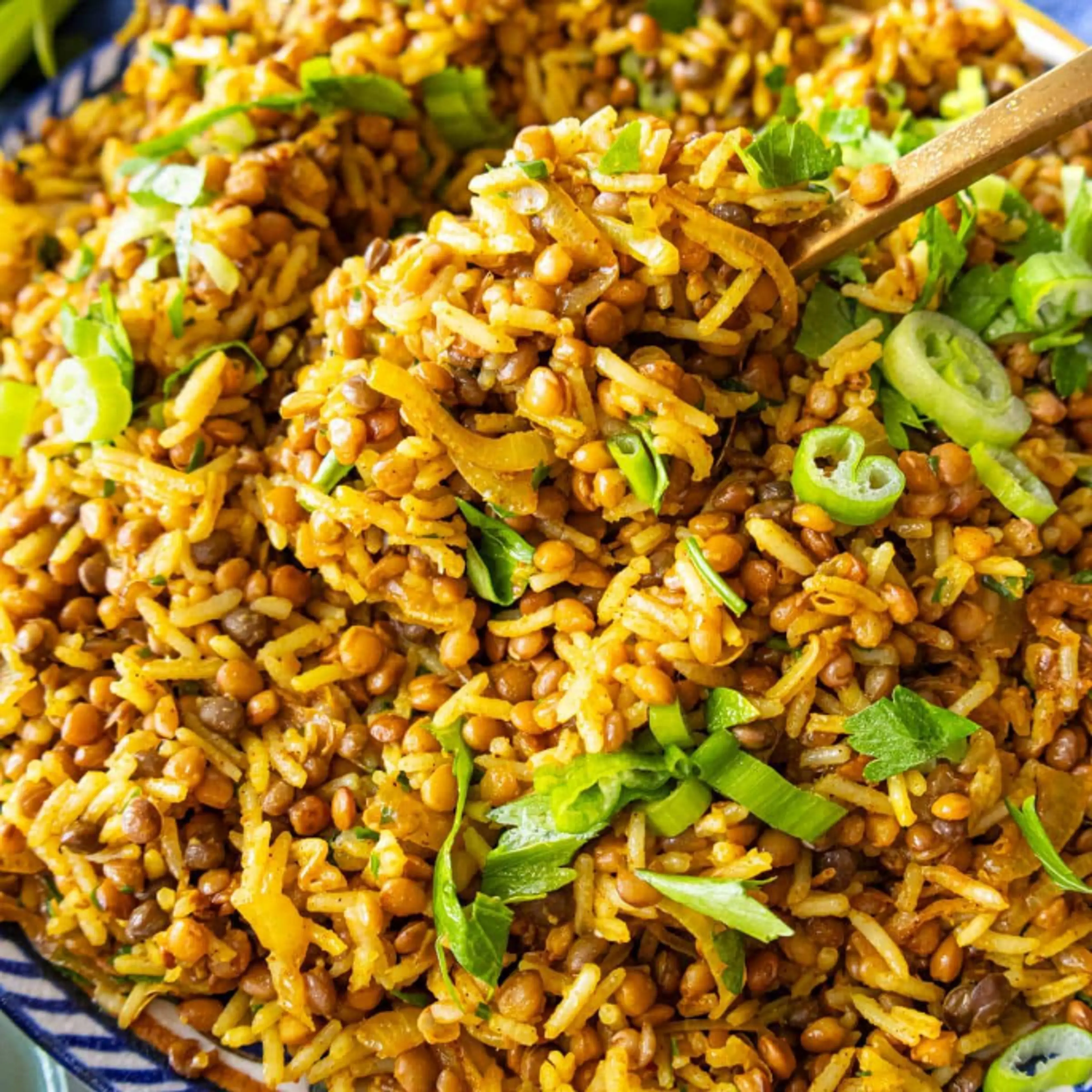 Easy Mediterranean Lentils and Rice