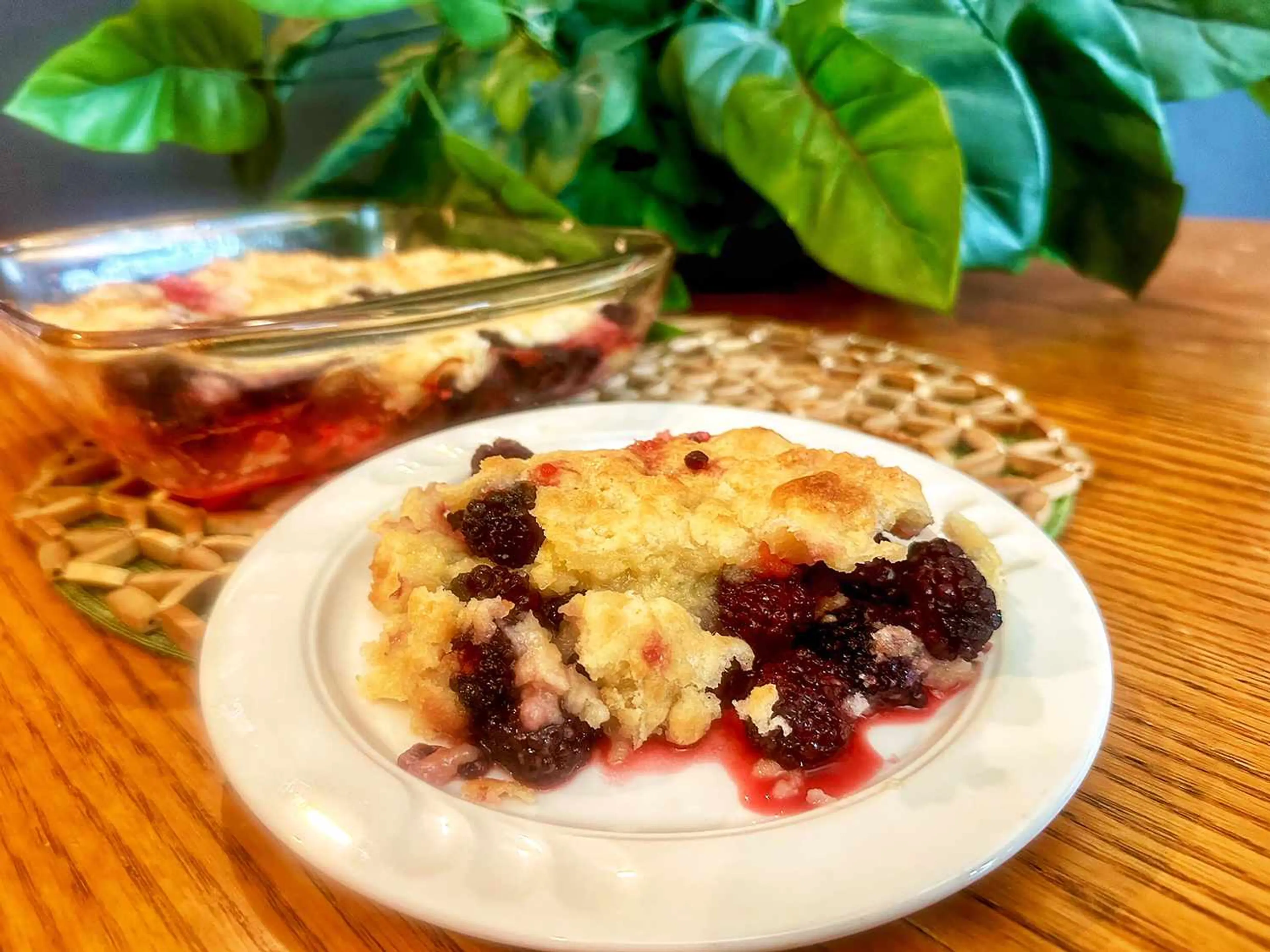 One Bowl Blackberry Cobbler