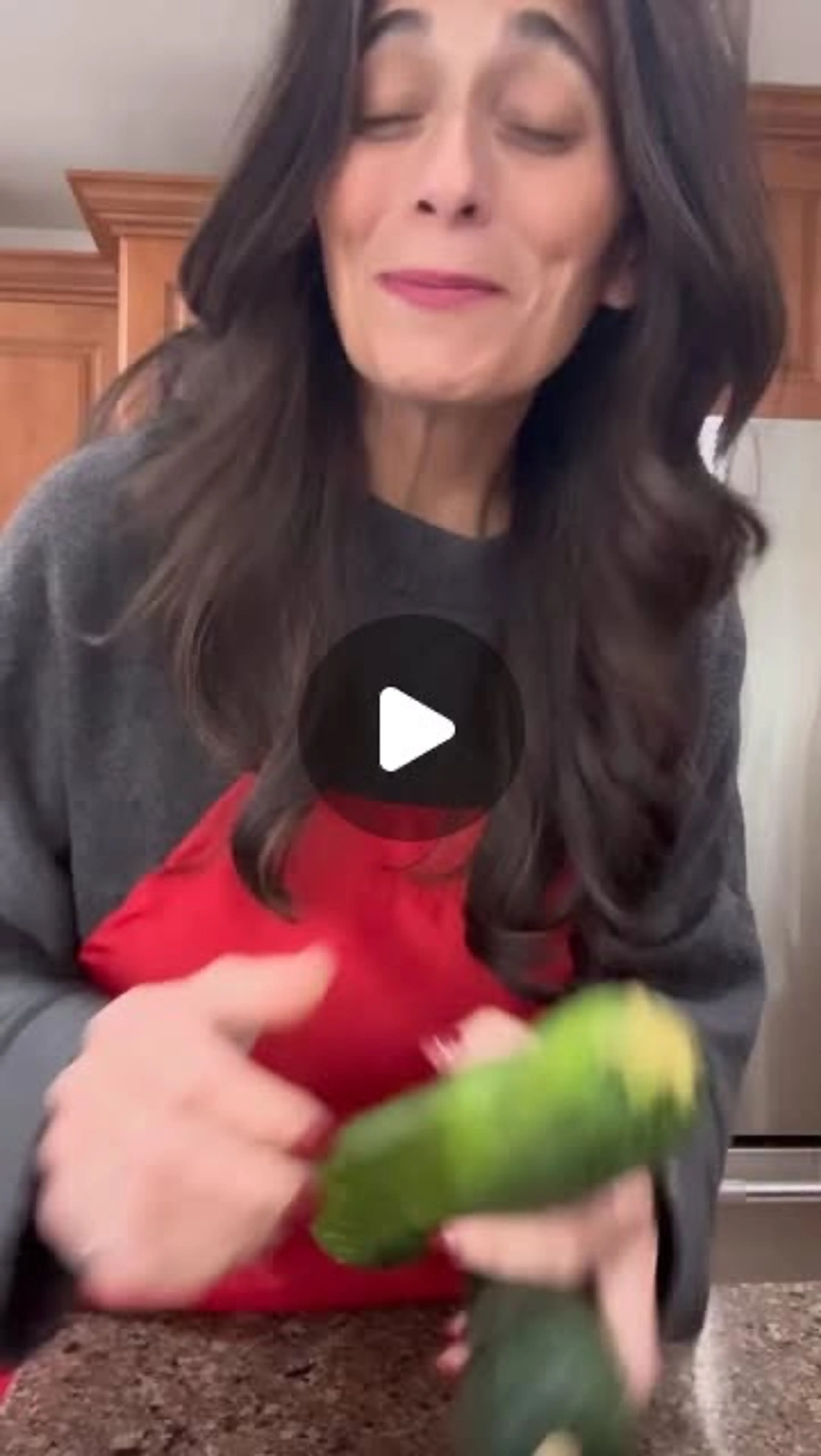 Zucchini Applesauce  Chocolate Muffins