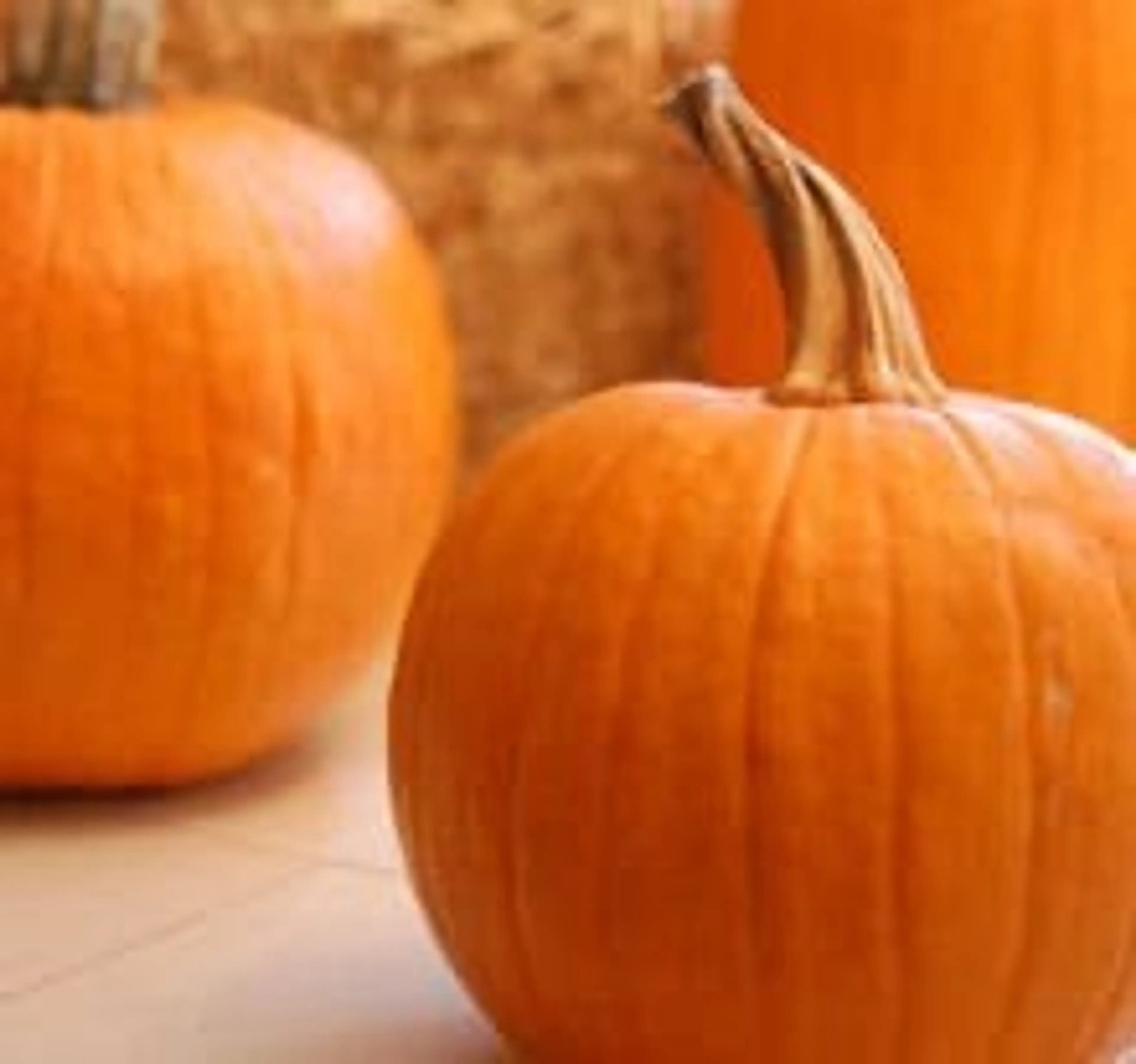 Pumpkin Pie Made with FRESH Pumpkin