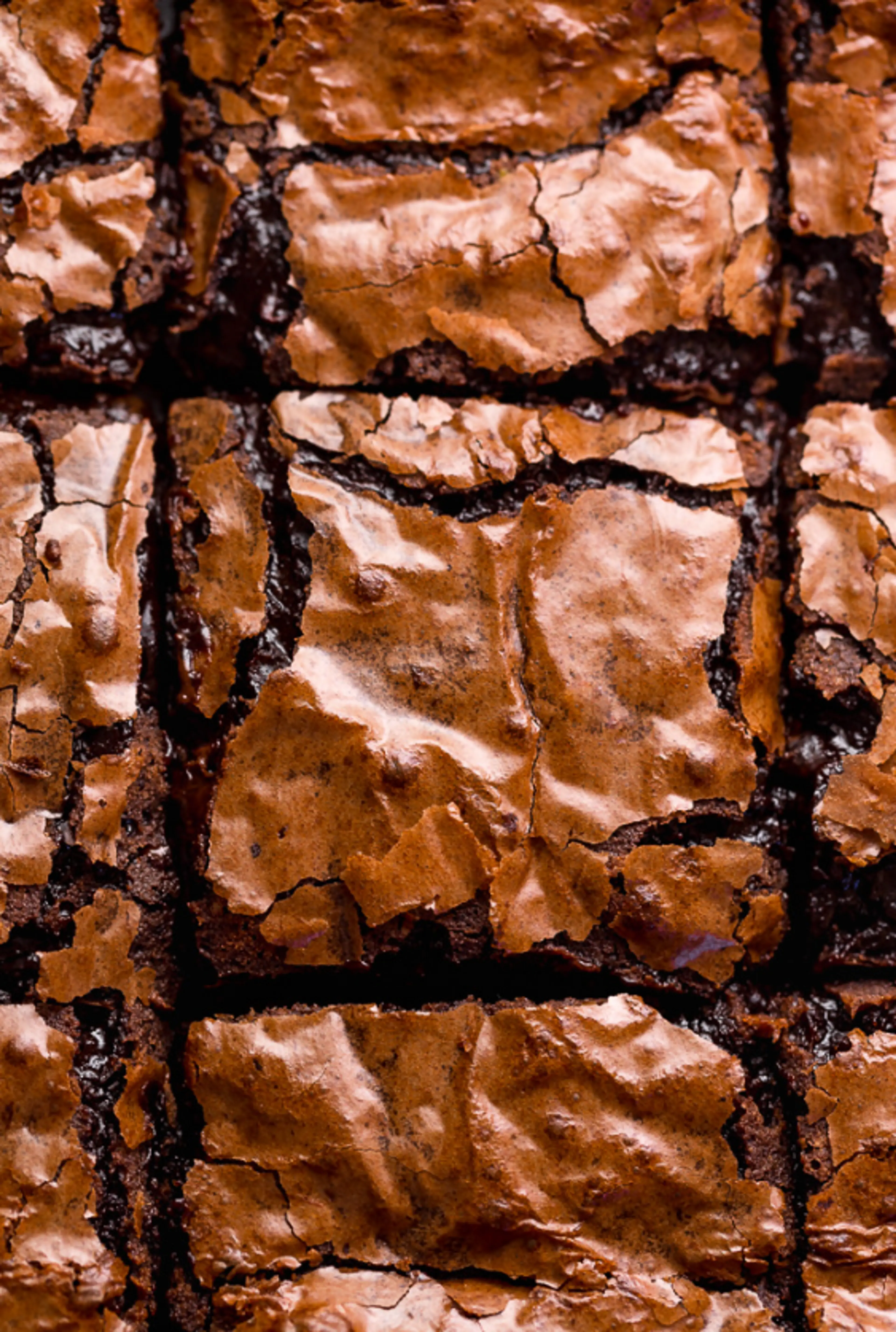 The Best Cocoa Fudge Brownies
