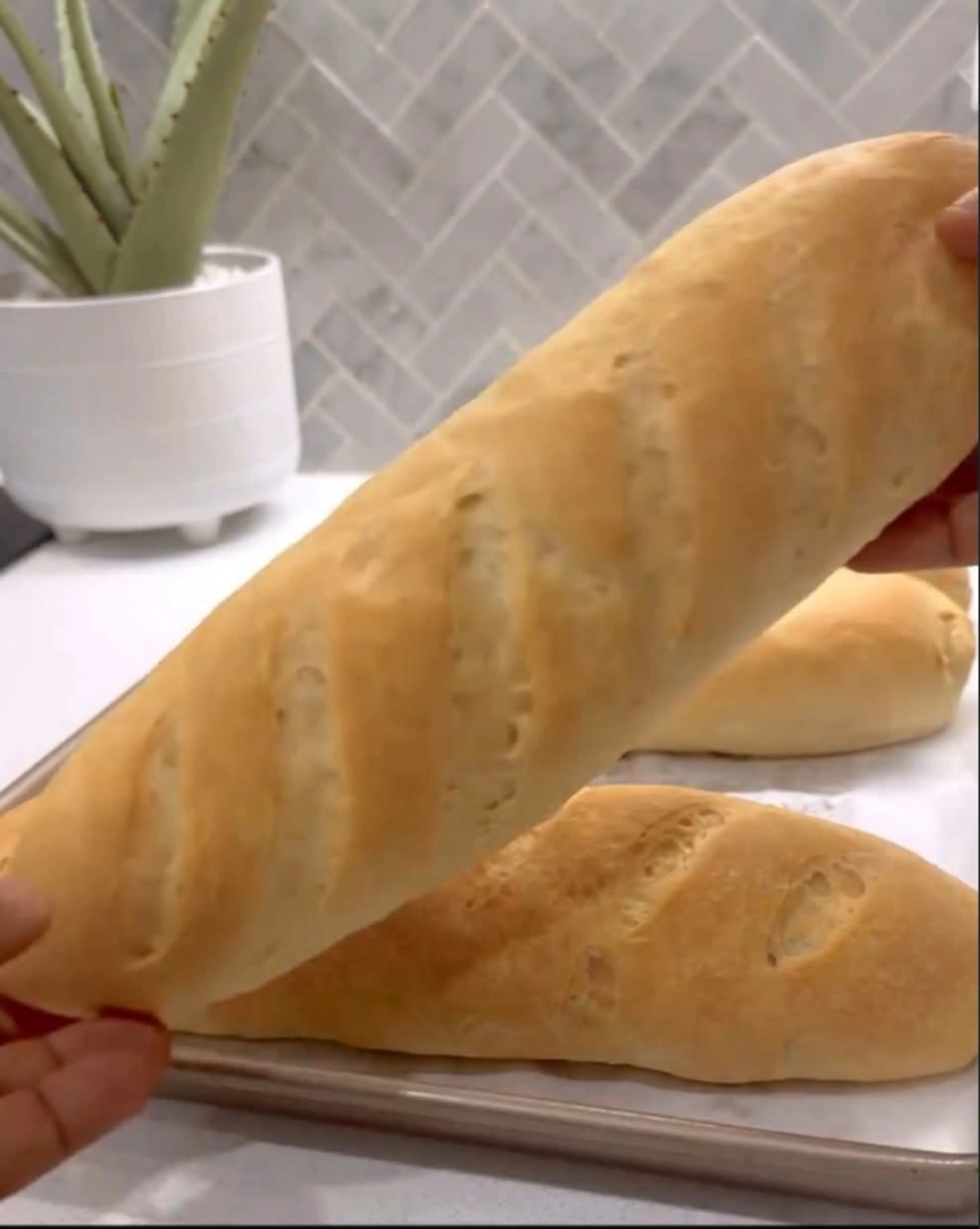 Subway Sticks/rolls