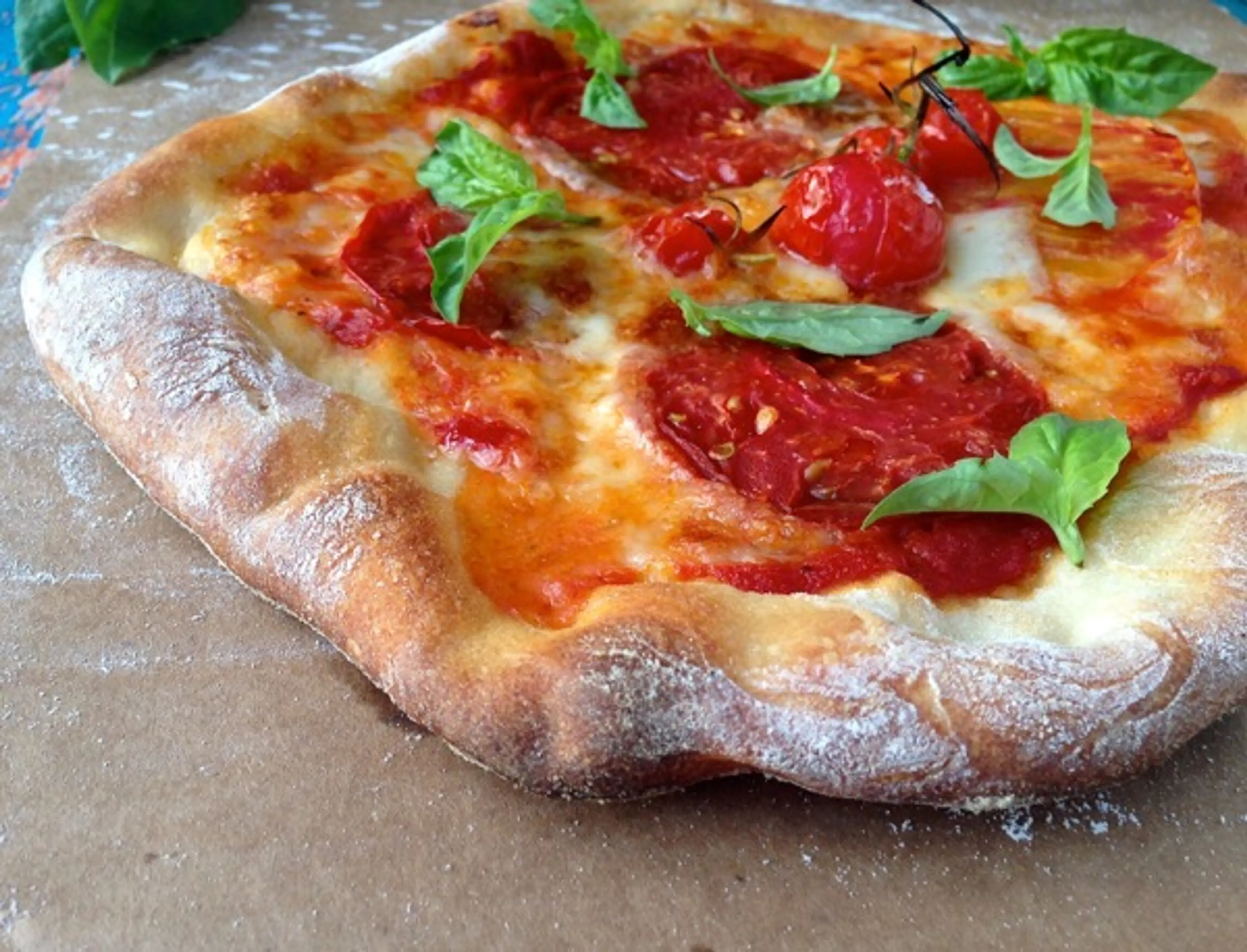 Rustic Italian Pizza Dough Recipe