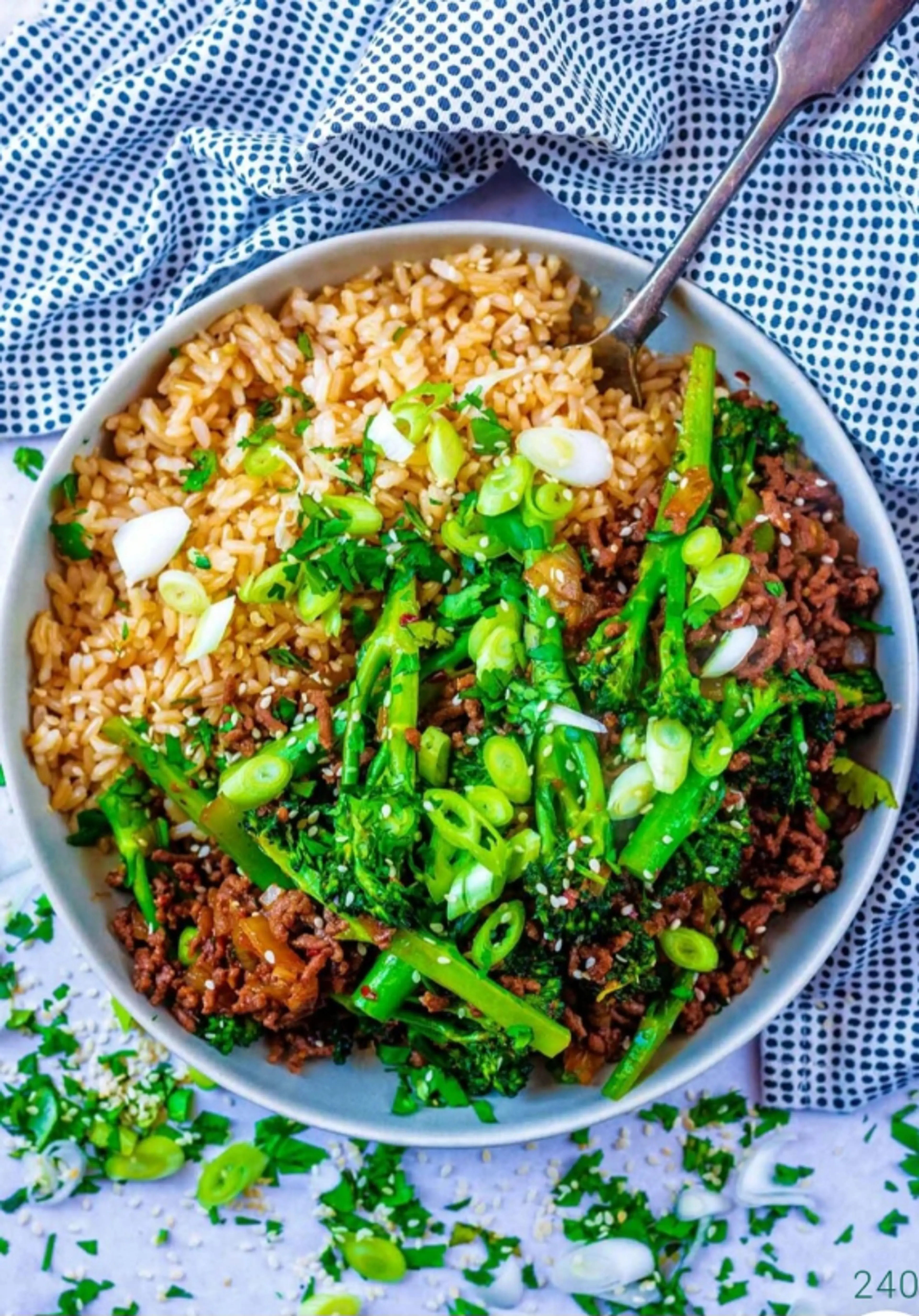 10 Minute Sticky Ginger Beef Mince