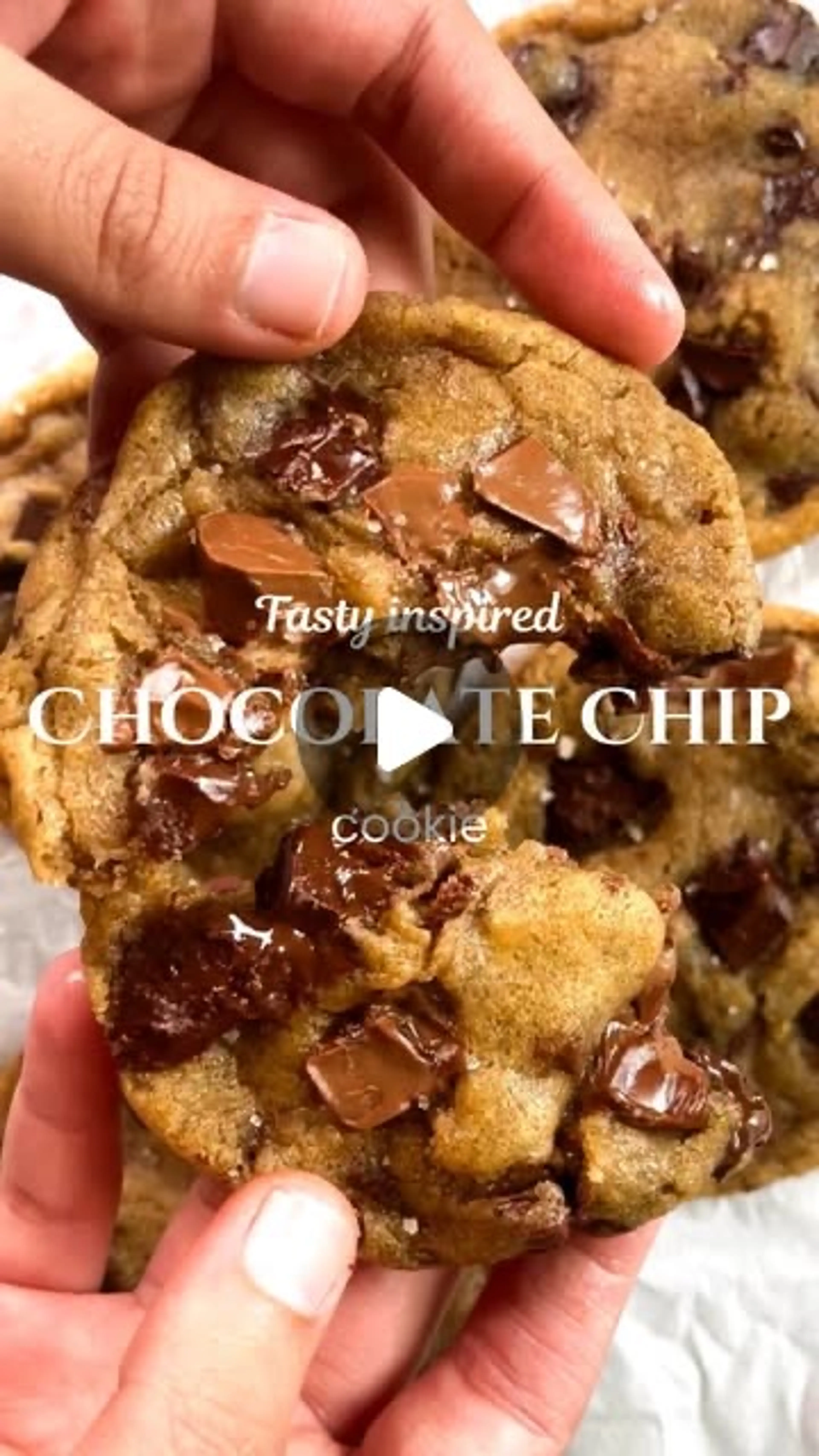 Chocolate Chip Cookie