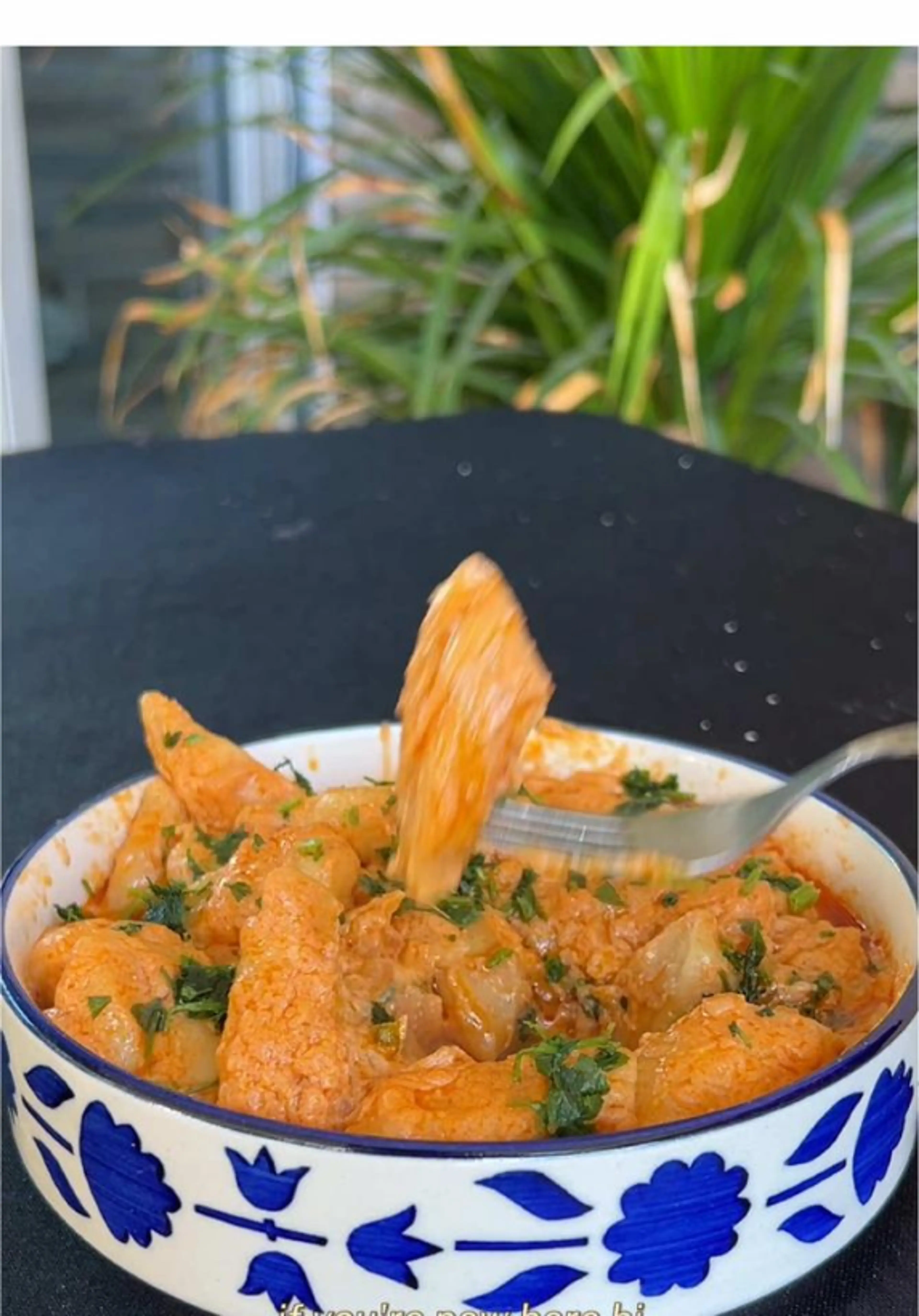 Scissor Cut Tofu Noodles X