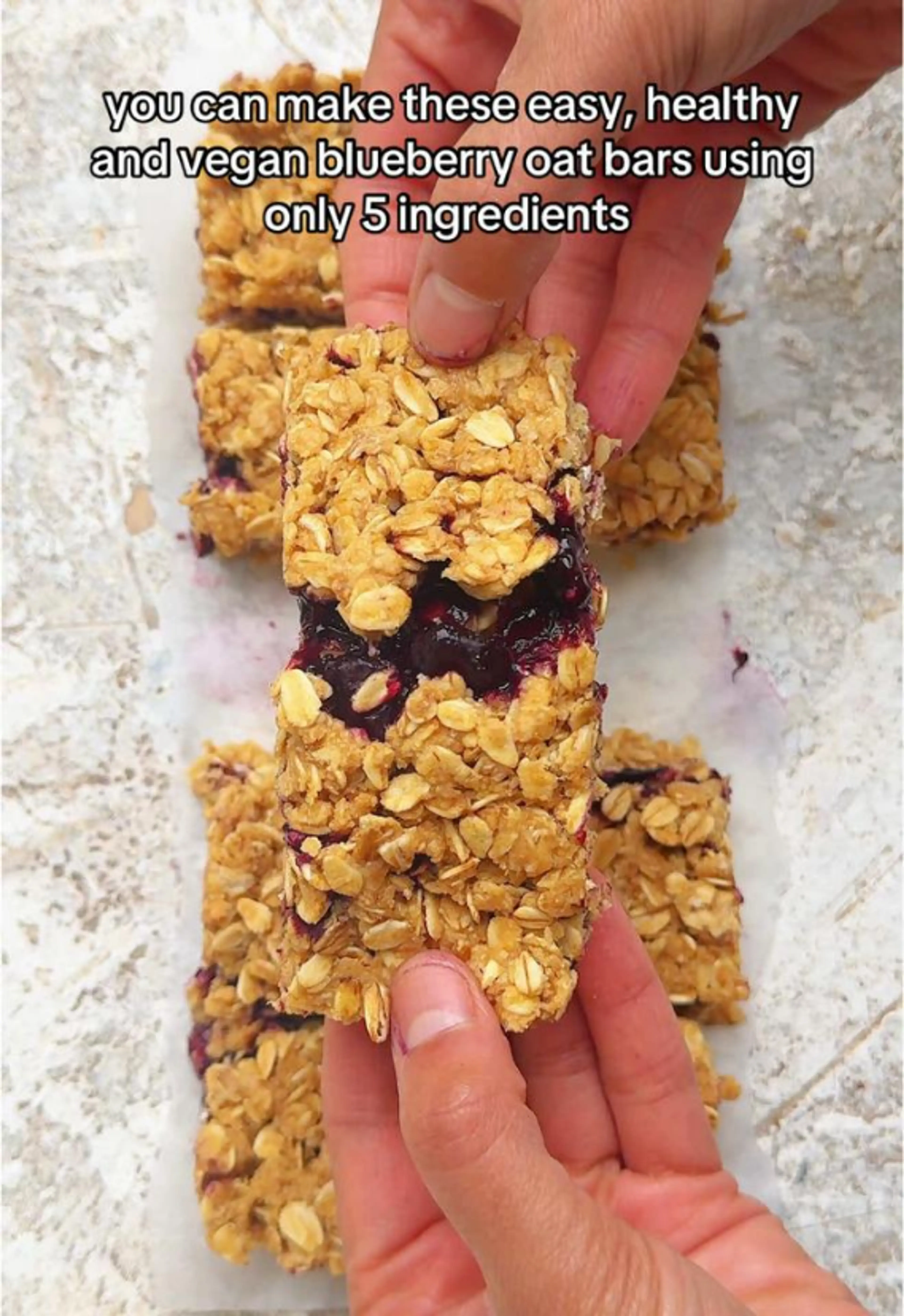Blueberry Oat Bar